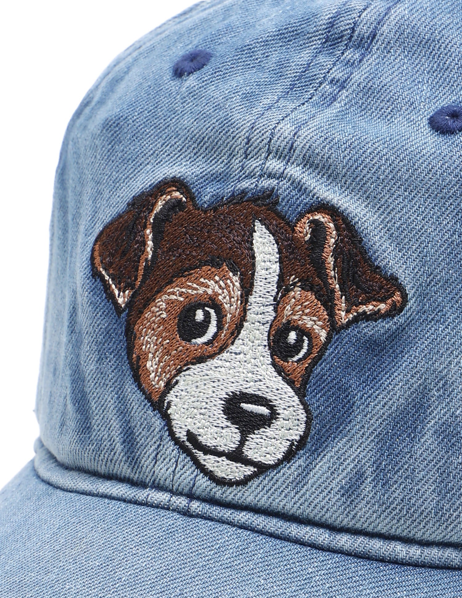 Embroidered Twill Cap Blue - U.S. Polo Assn. India | Large