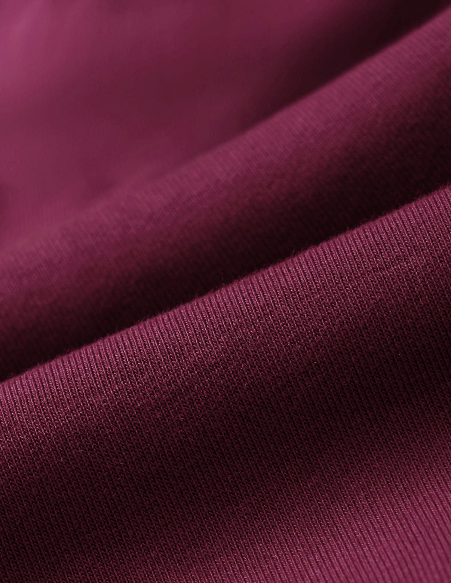 Regular Fit Solid Sweatshirt Red - U.S. POLO ASSN. | Large