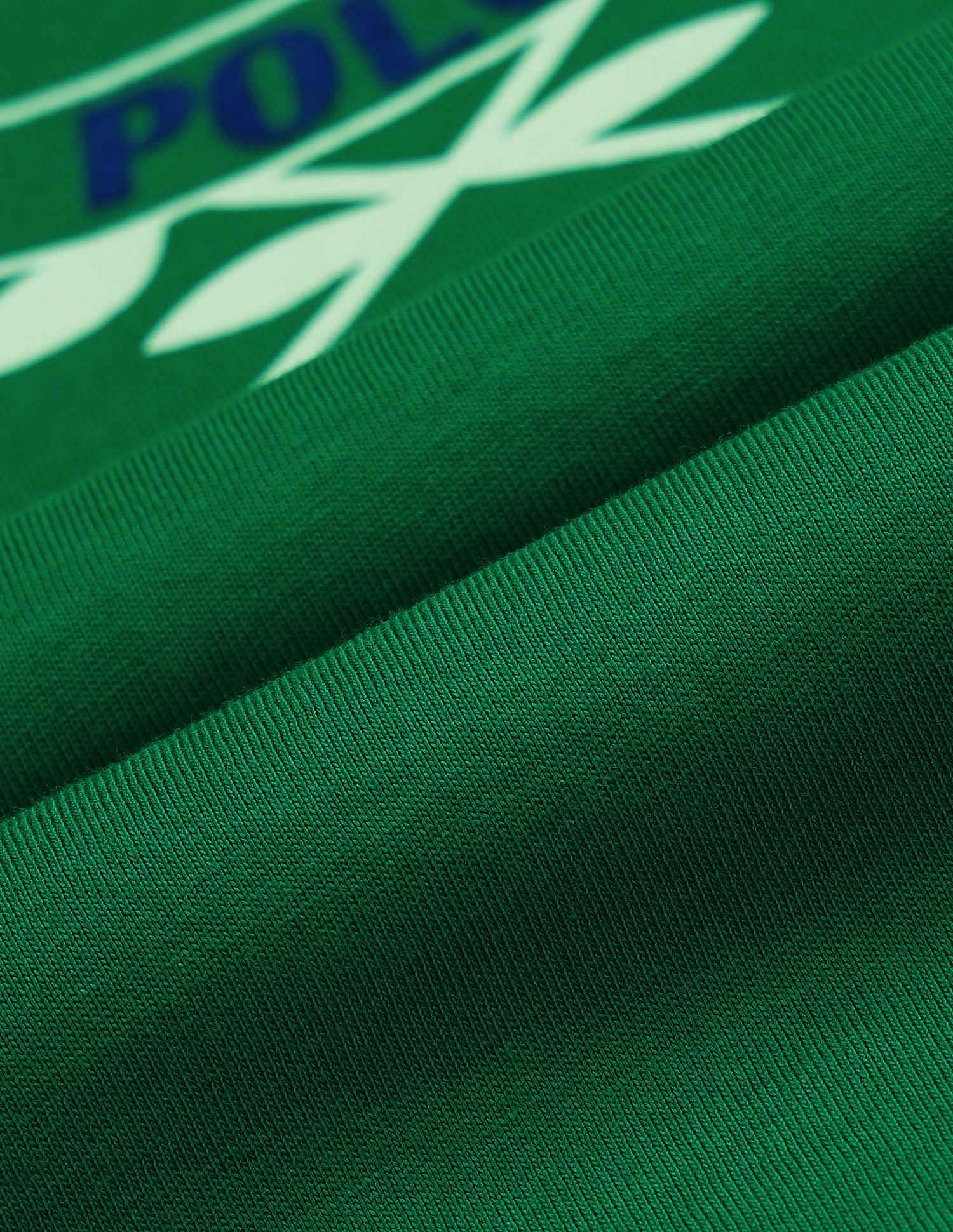 Boxy Fit Brand Printed T-Shirt Green - U.S. POLO ASSN. | Large