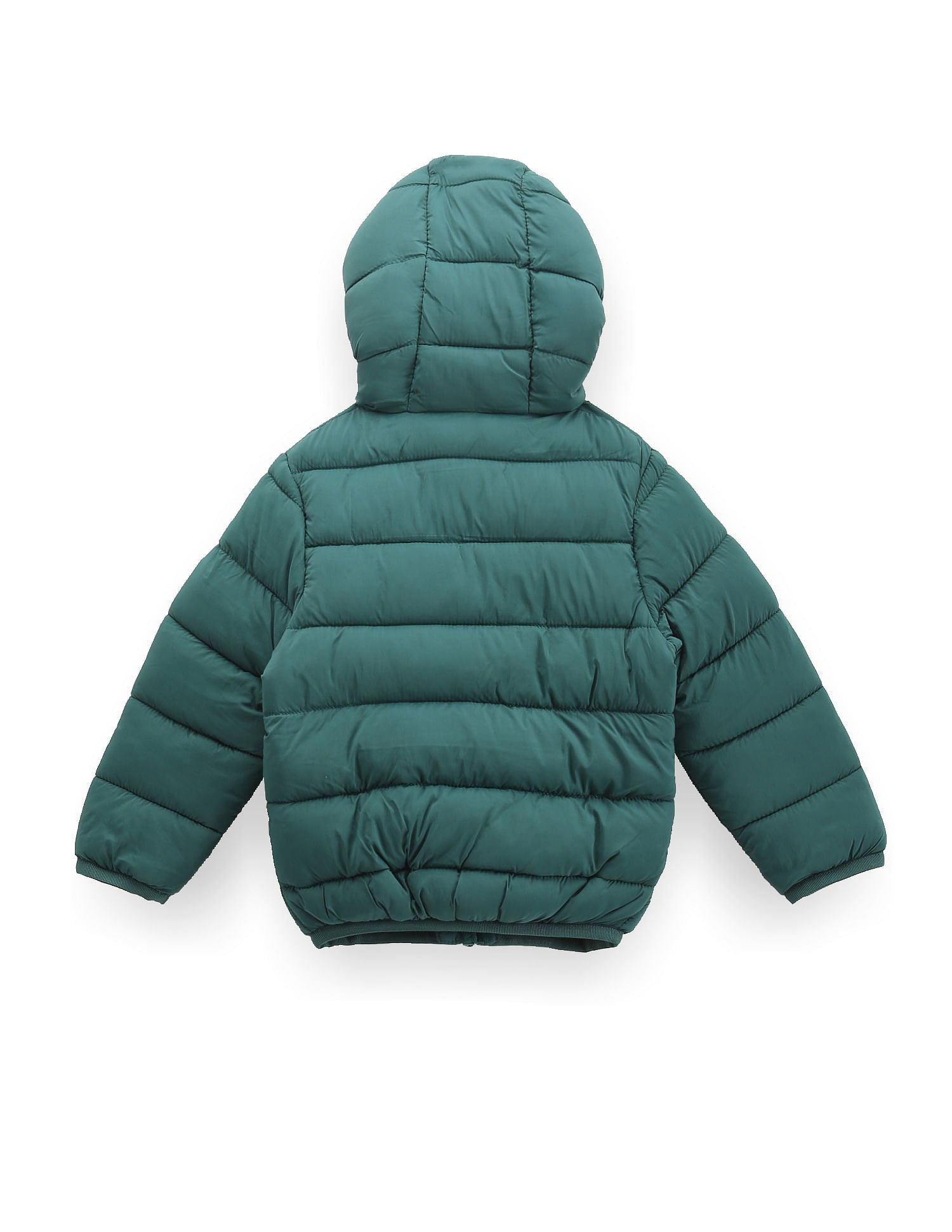 Boys Lightweight Puffer Jacket Green - U.S. POLO ASSN. | Large