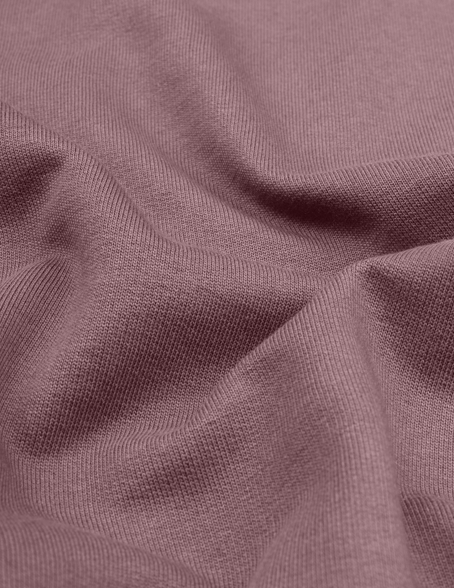 Raglan Full Sleeve Loopknit Lounge T-Shirt Marron - U.S. Polo Assn. India | Large
