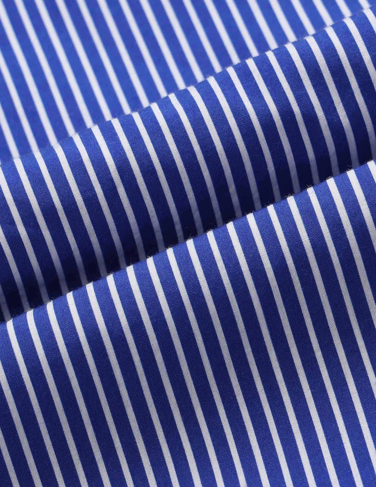 Vertical Striped Regular Fit Shirt Blue - U.S. POLO ASSN. | Large
