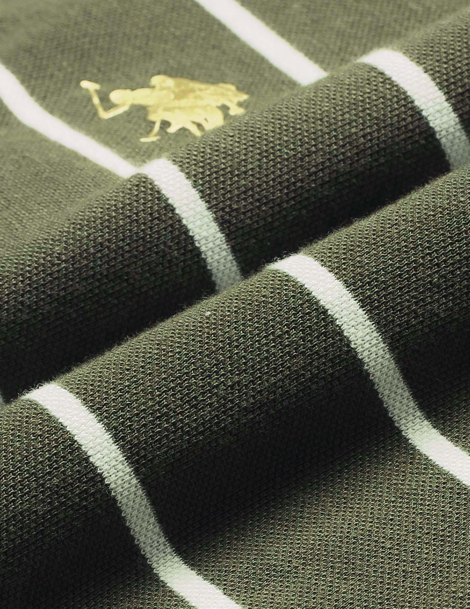 Boys Regular Fit Vertical Striped Polo Shirt Olive - U.S. POLO ASSN. | Large