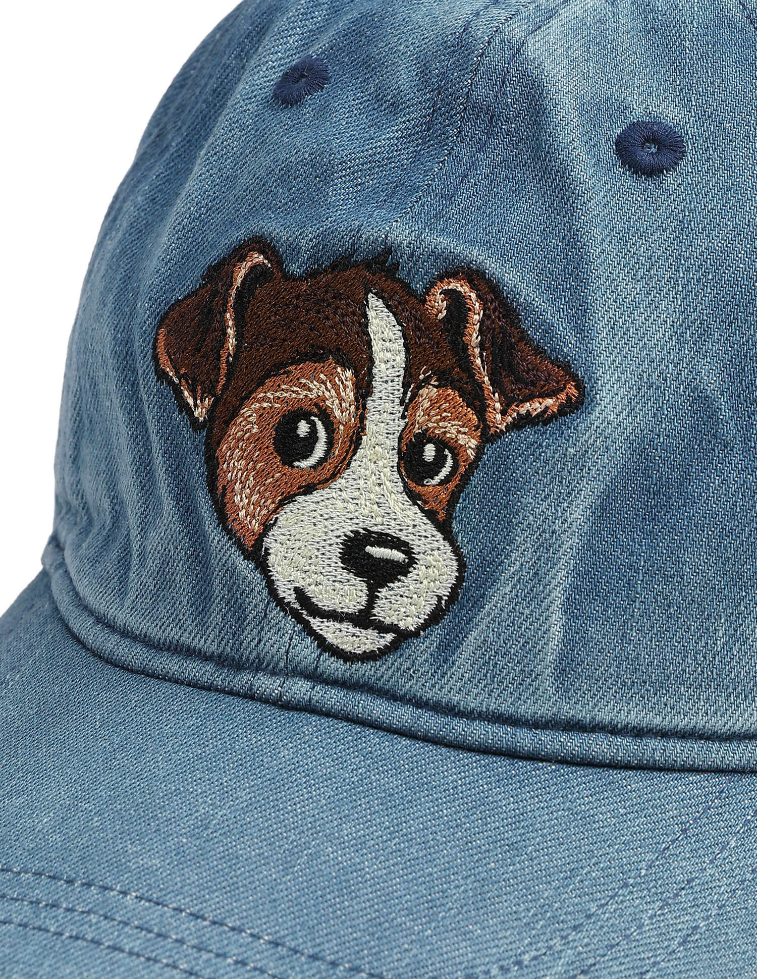 Embroidered Denim Cap Blue - U.S. Polo Assn. India | Large
