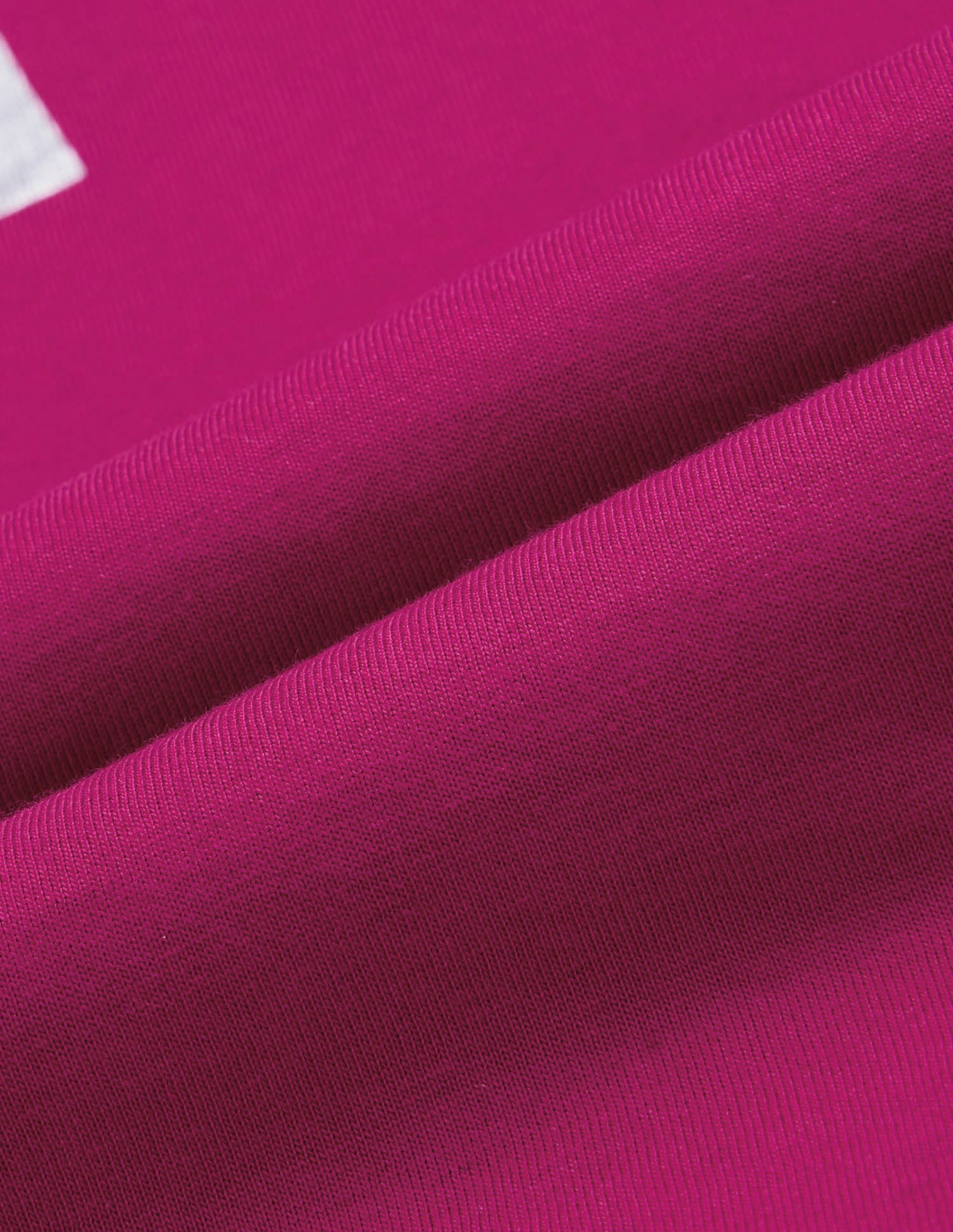 Regular Fit Brand Printed T-Shirt Purple - U.S. Polo Assn. India | Large