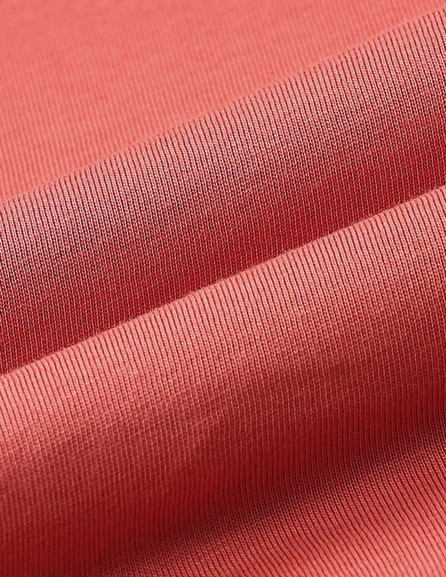 Graphic Brand Printed Slim Fit T-Shirt Red - U.S. Polo Assn. India | Large