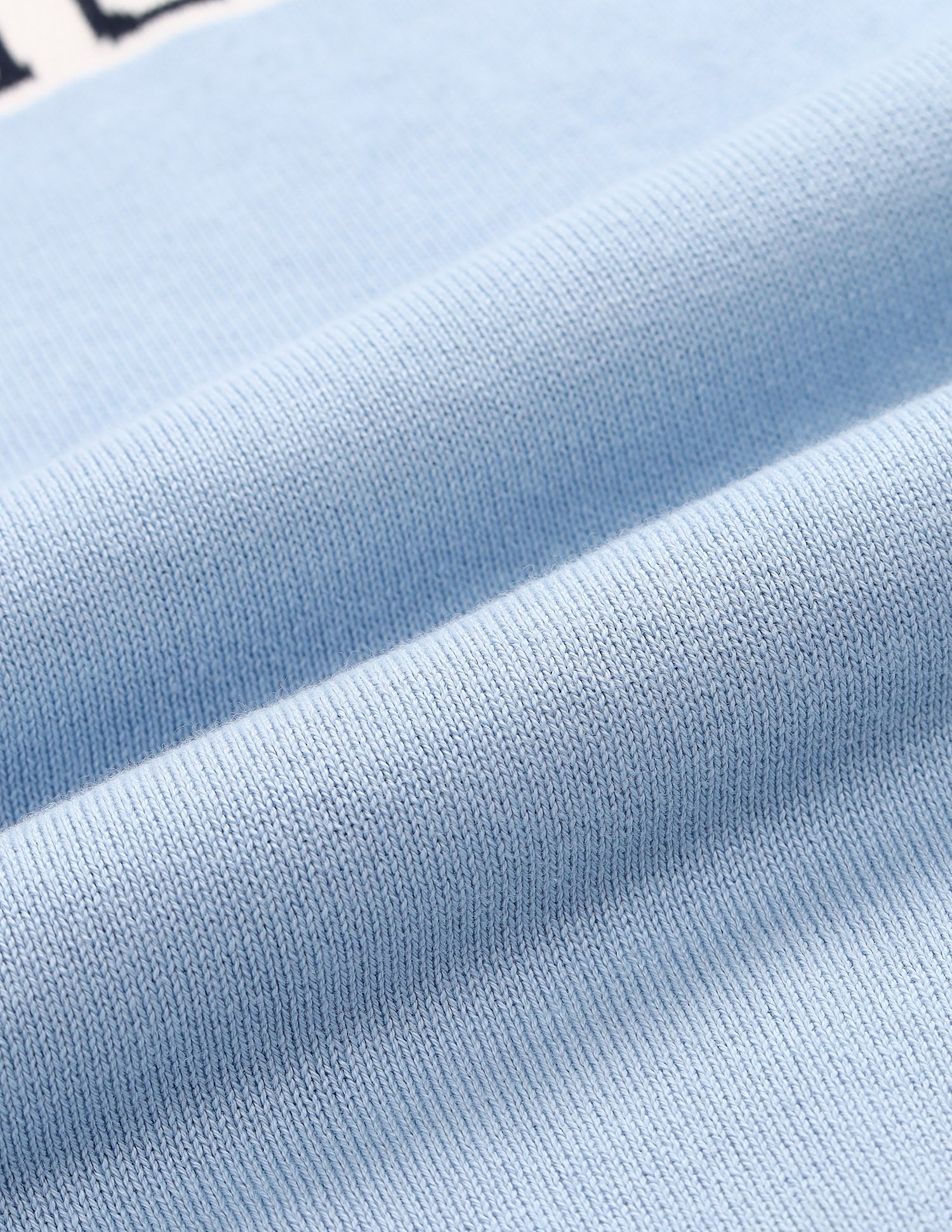 Brand Printed Regular Fit Sweater Blue - U.S. POLO ASSN. | Large