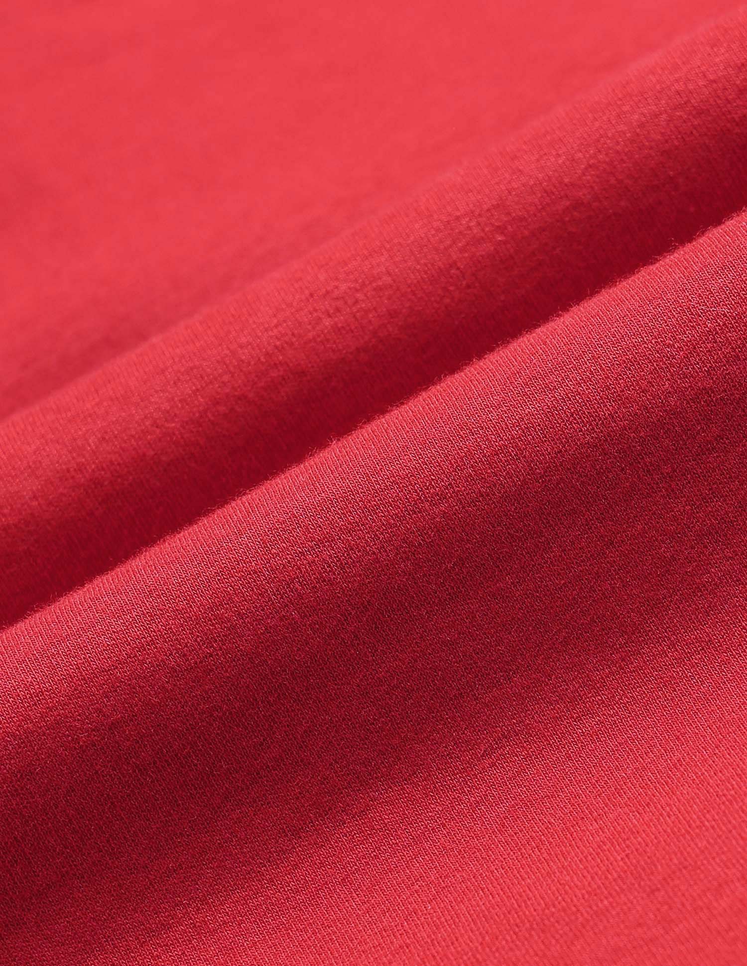 Boys Regular Fit Colourblocked Polo Shirt Red - U.S. POLO ASSN. | Large