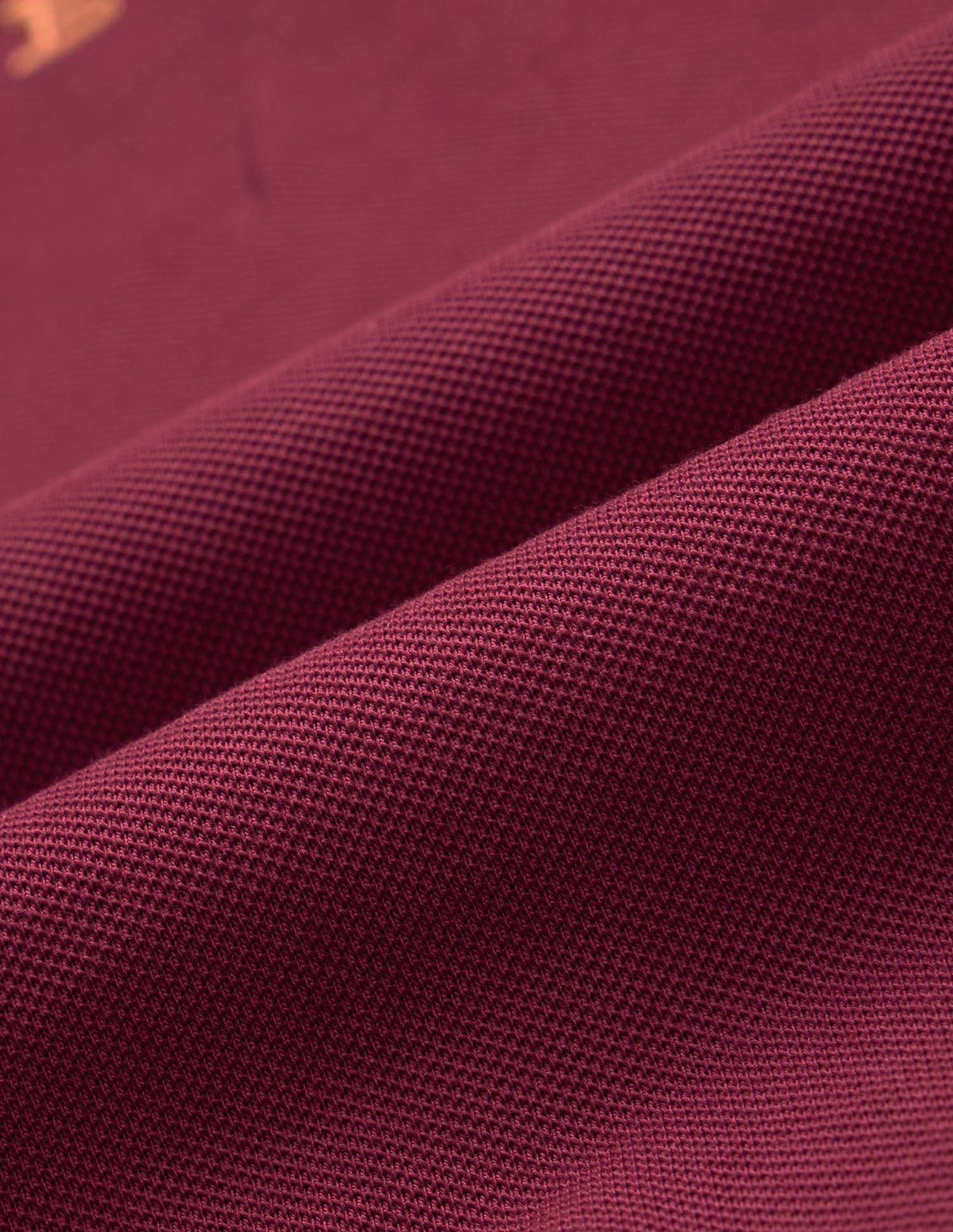 Brand Embroidered Varsity Polo Shirt Dark Red - U.S. POLO ASSN. | Large