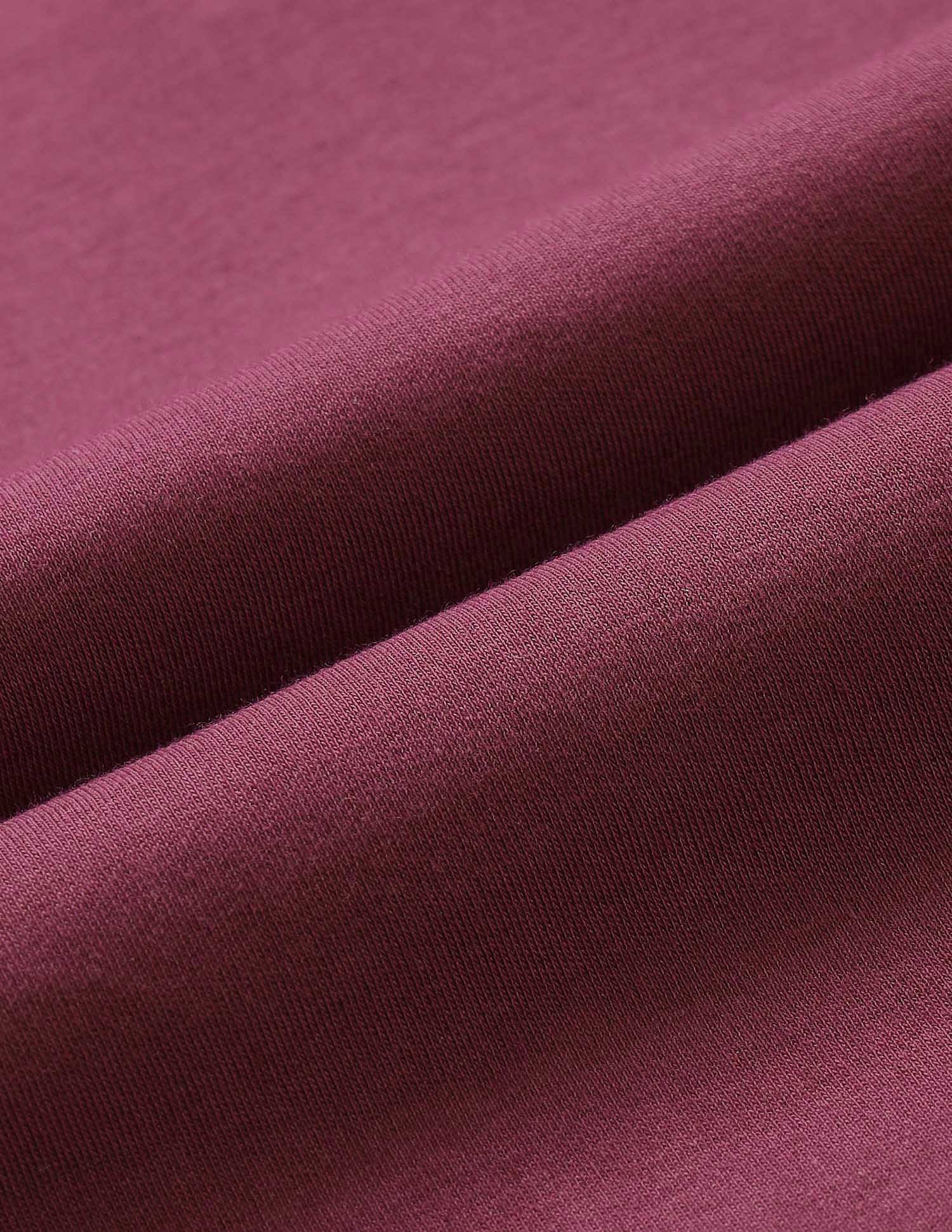 Regular Fit Polo Shirt Wine - U.S. POLO ASSN. | Large