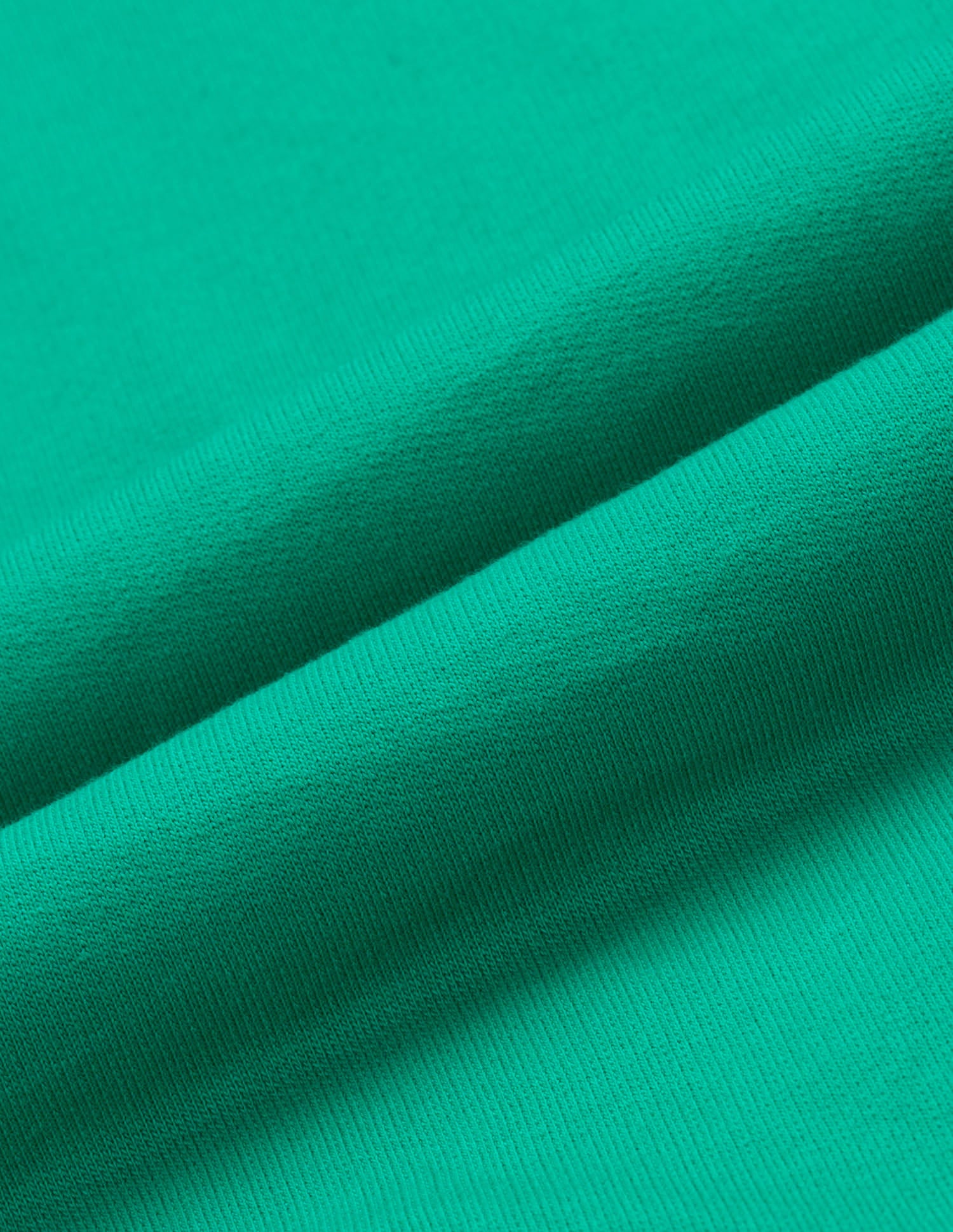 High Rise Wide Leg Trousers Green - U.S. Polo Assn. India | Large