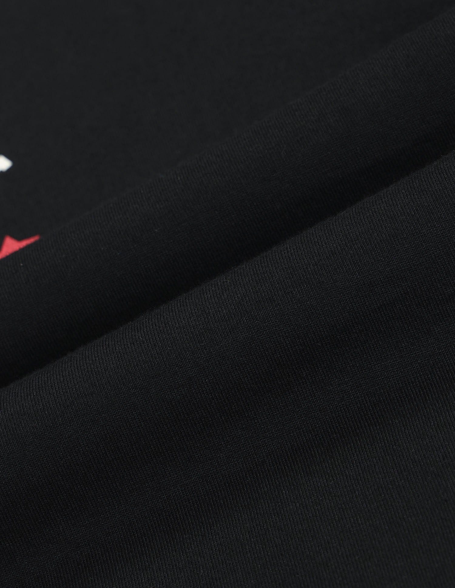 Regular Fit Brand Printed T-Shirt Black - U.S. POLO ASSN. | Large