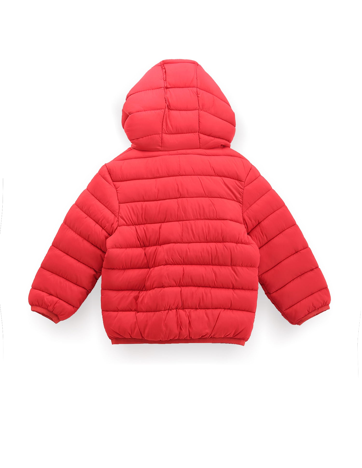 Boys Lightweight Puffer Jacket Red - U.S. POLO ASSN. | Large