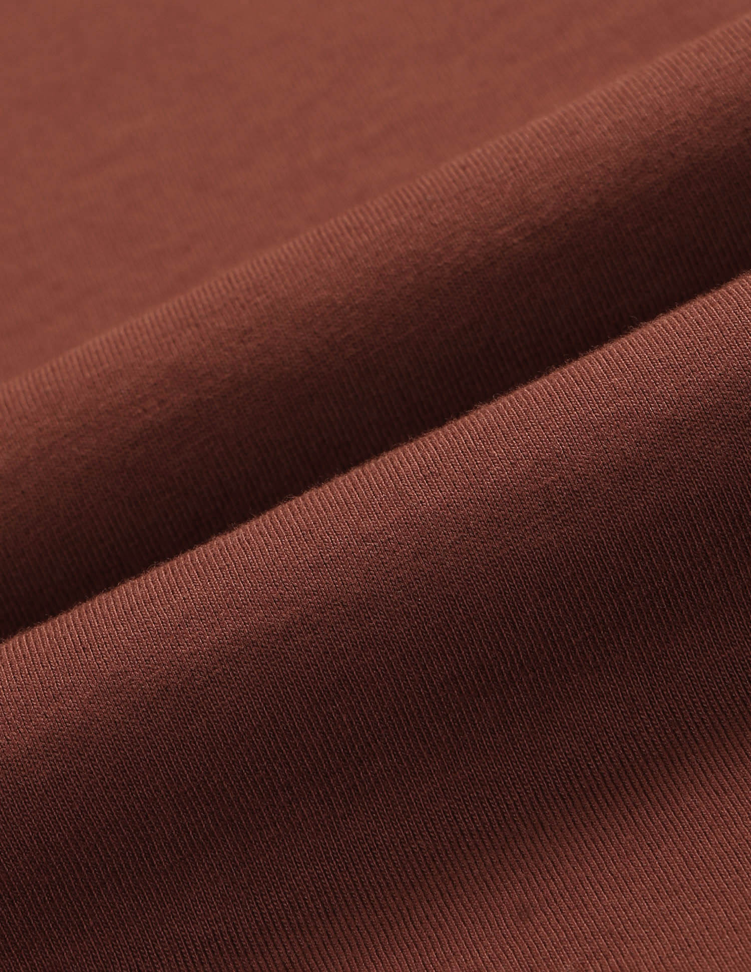 Graphic Brand Printed Legend Of Horseshoe T-Shirt Rust - U.S. POLO ASSN. | Large