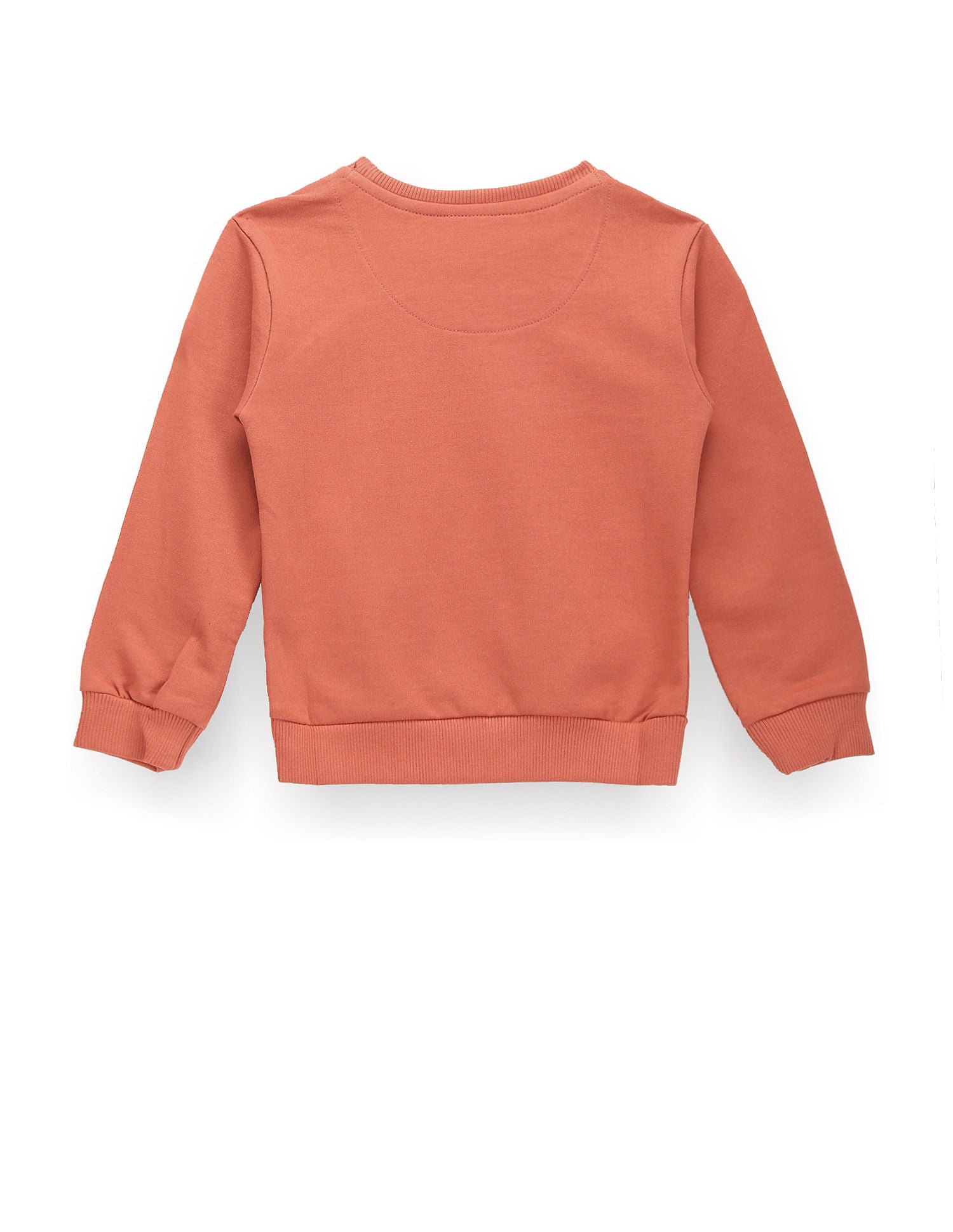 Boys Brand Print Sweatshirt Rust - U.S. Polo Assn. India | Large