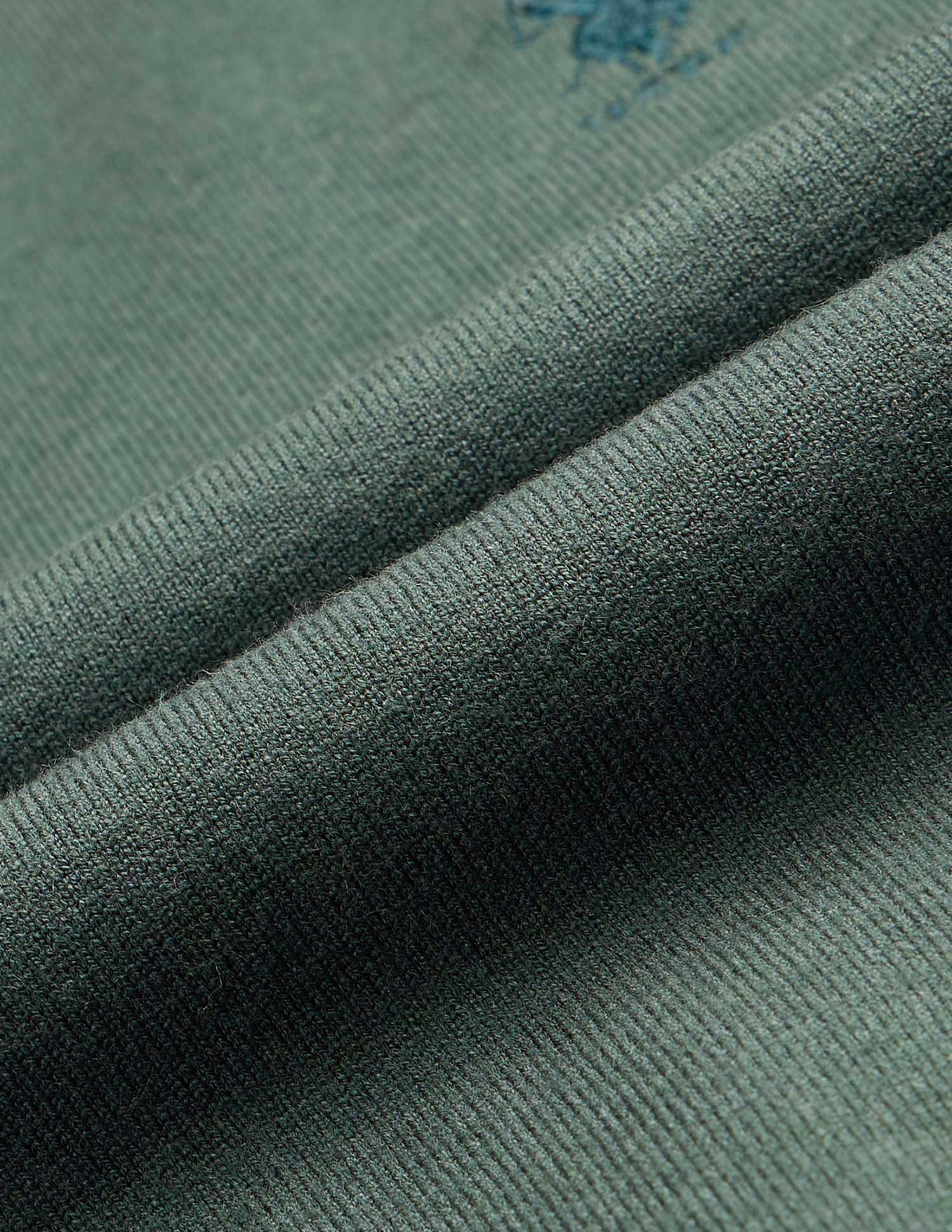 Solid Regular Fit Sweater Green - U.S. POLO ASSN. | Large