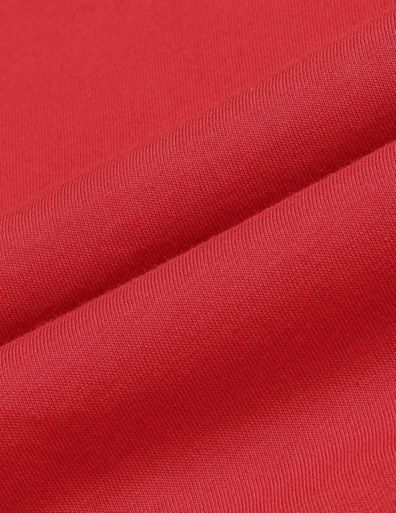 Regular Fit Brand Printed T-Shirt Red - U.S. Polo Assn. India | Large