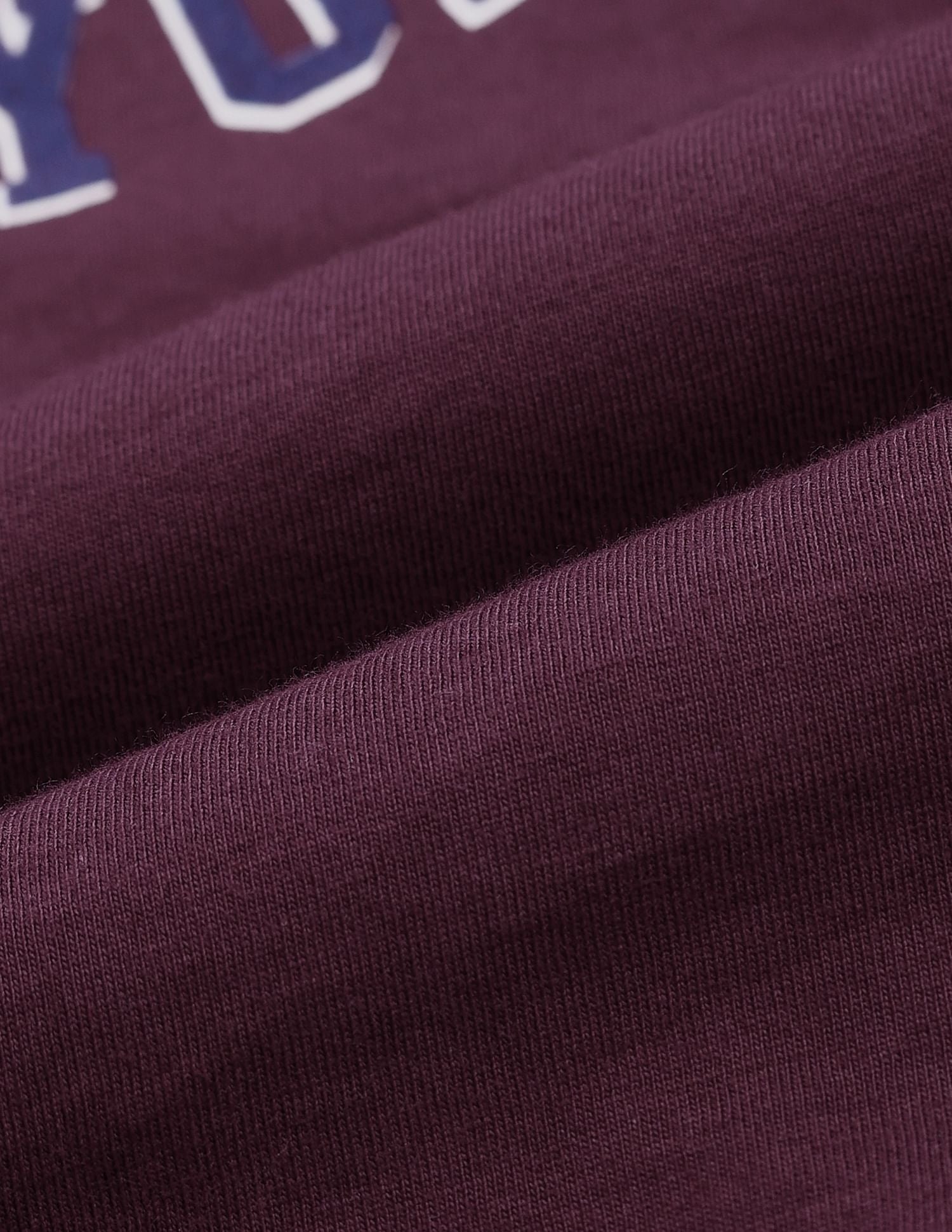 Drop Shoulder Graphic Print T-Shirt Wine - U.S. POLO ASSN. | Large