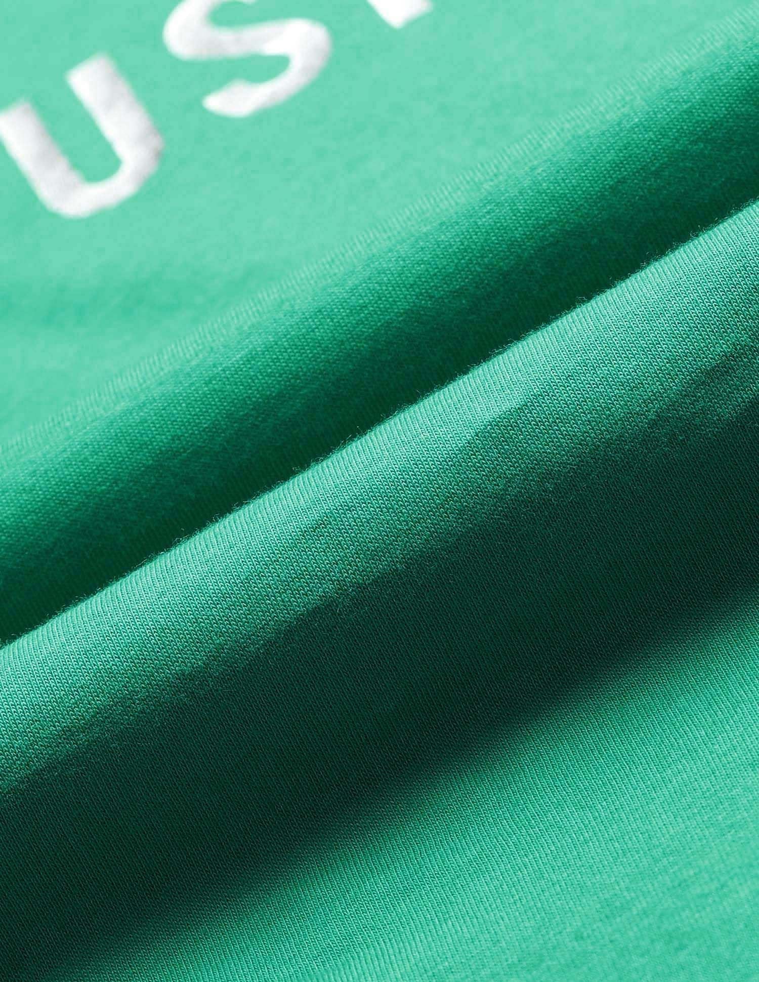 Regular Fit Brand Printed T-Shirt Green - U.S. POLO ASSN. | Large