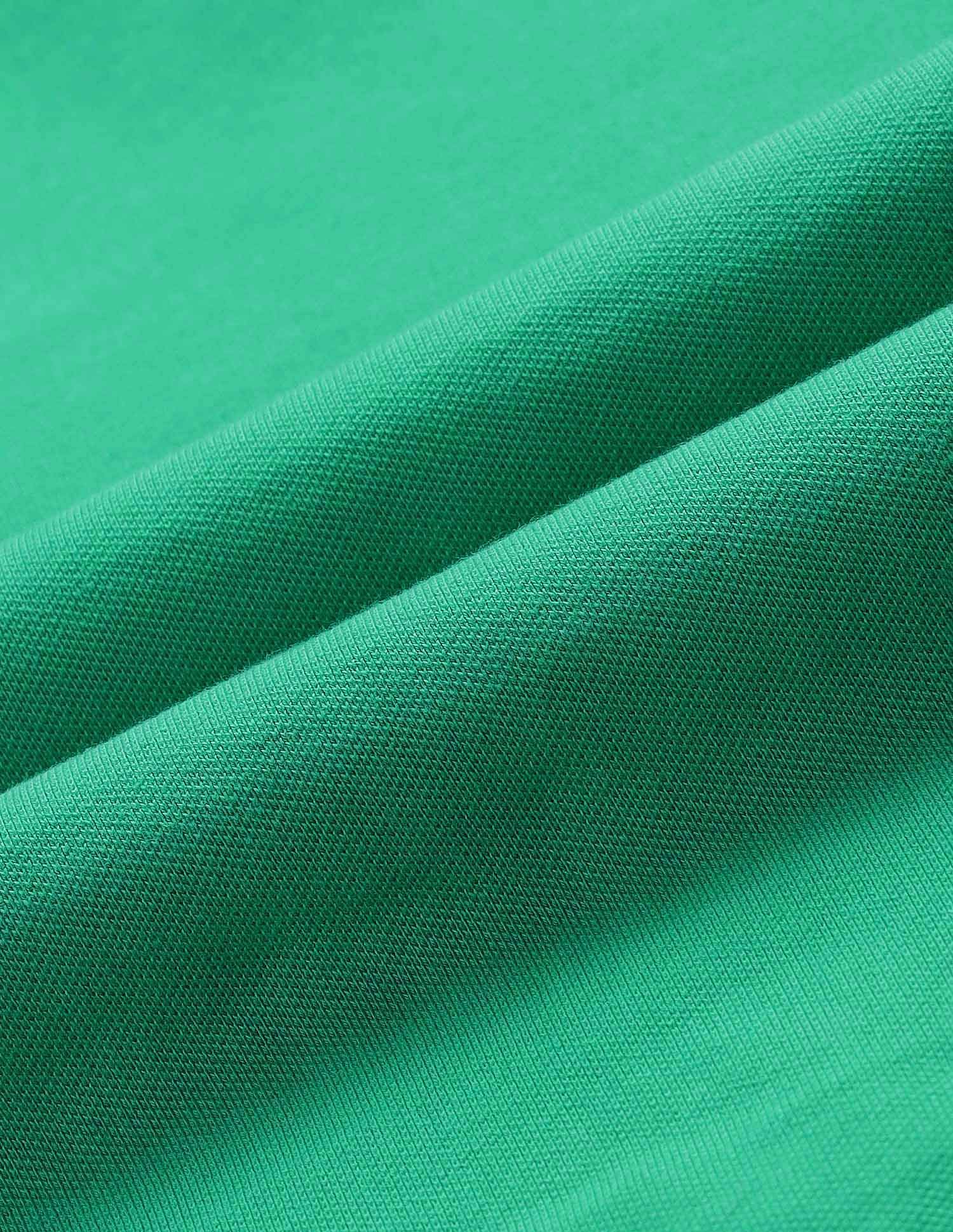 Tipped V-Neck Solid Polo Shirt Green - U.S. POLO ASSN. | Large