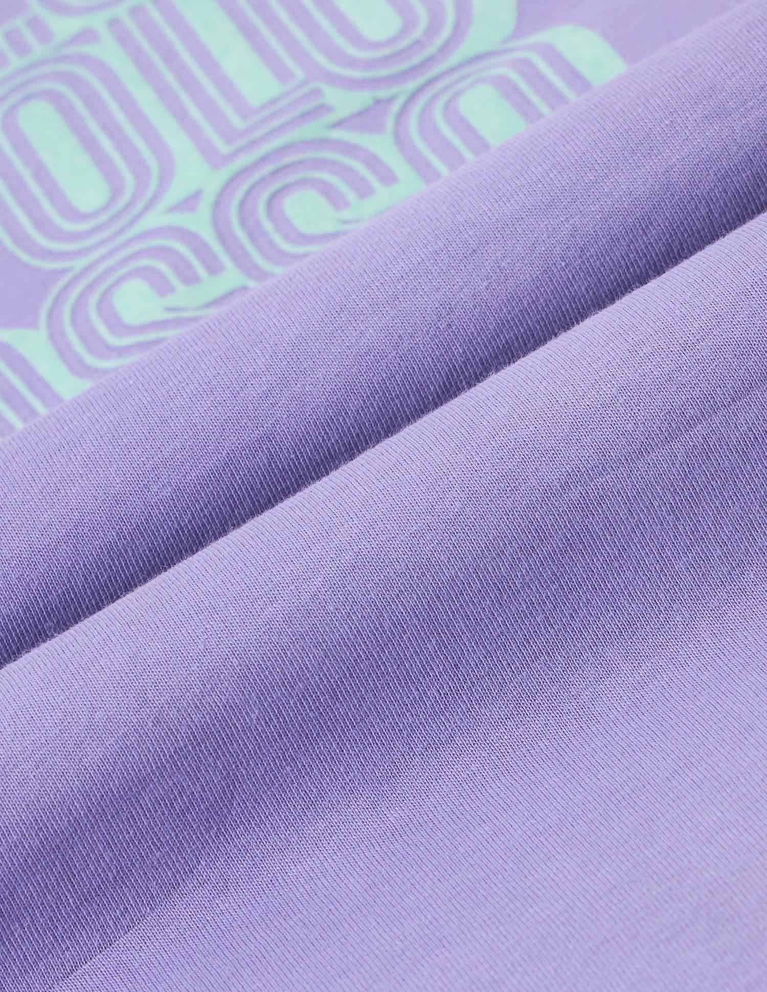 Regular Fit Brand Printed T-Shirt Lavender - U.S. POLO ASSN. | Large