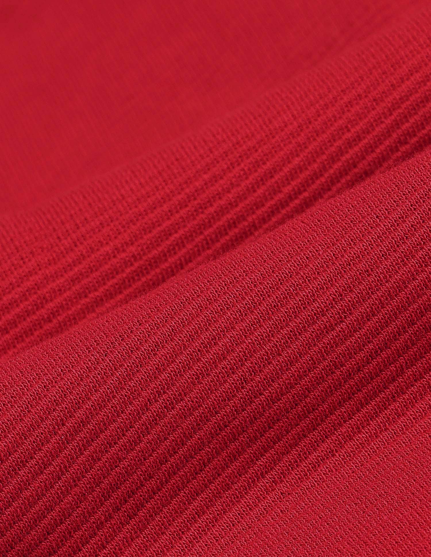 Textured Brand Stripe Regular Fit Polo Shirt Red - U.S. Polo Assn. India | Large