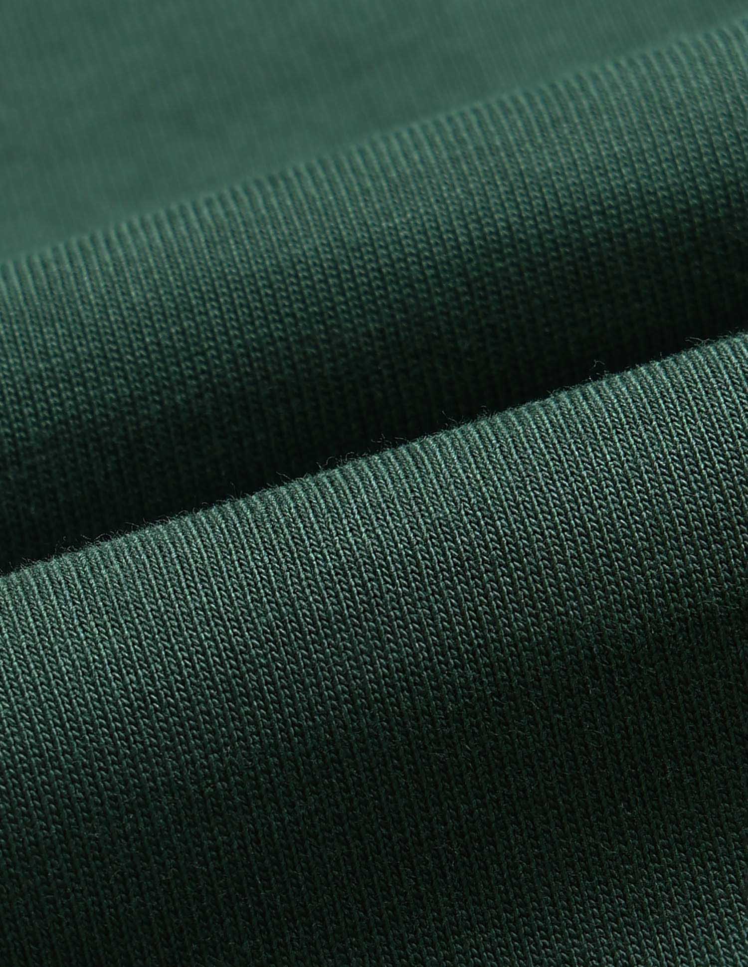 Solid Regular Fit Polo Shirt Dark Green - U.S. POLO ASSN. | Large