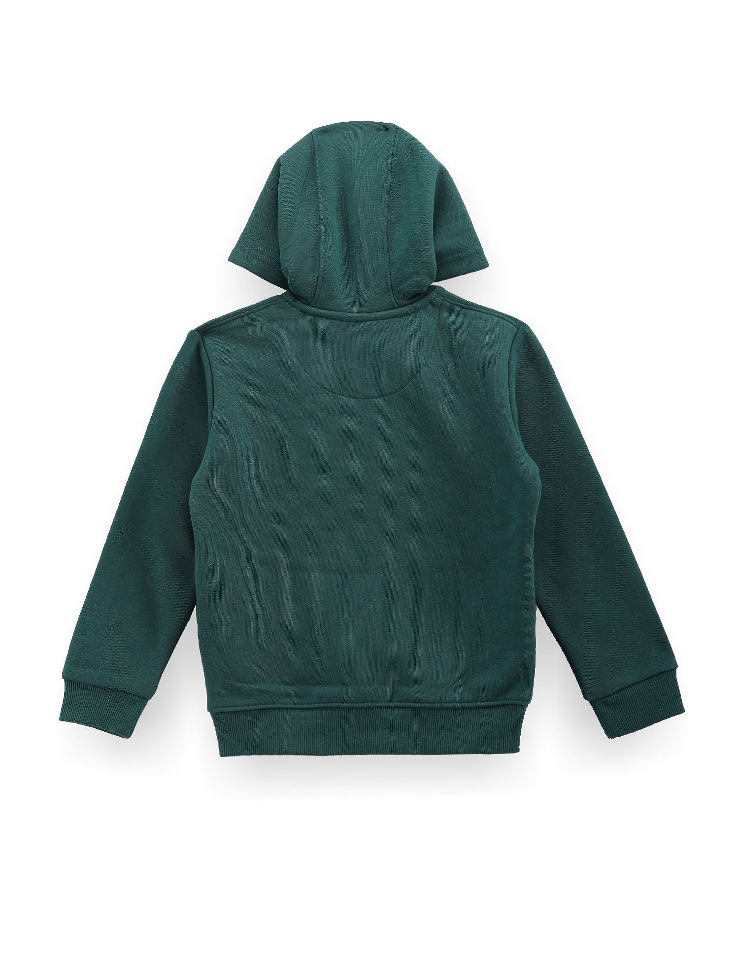 Boys Solid Hooded Sweatshirt Green - U.S. POLO ASSN. | Large