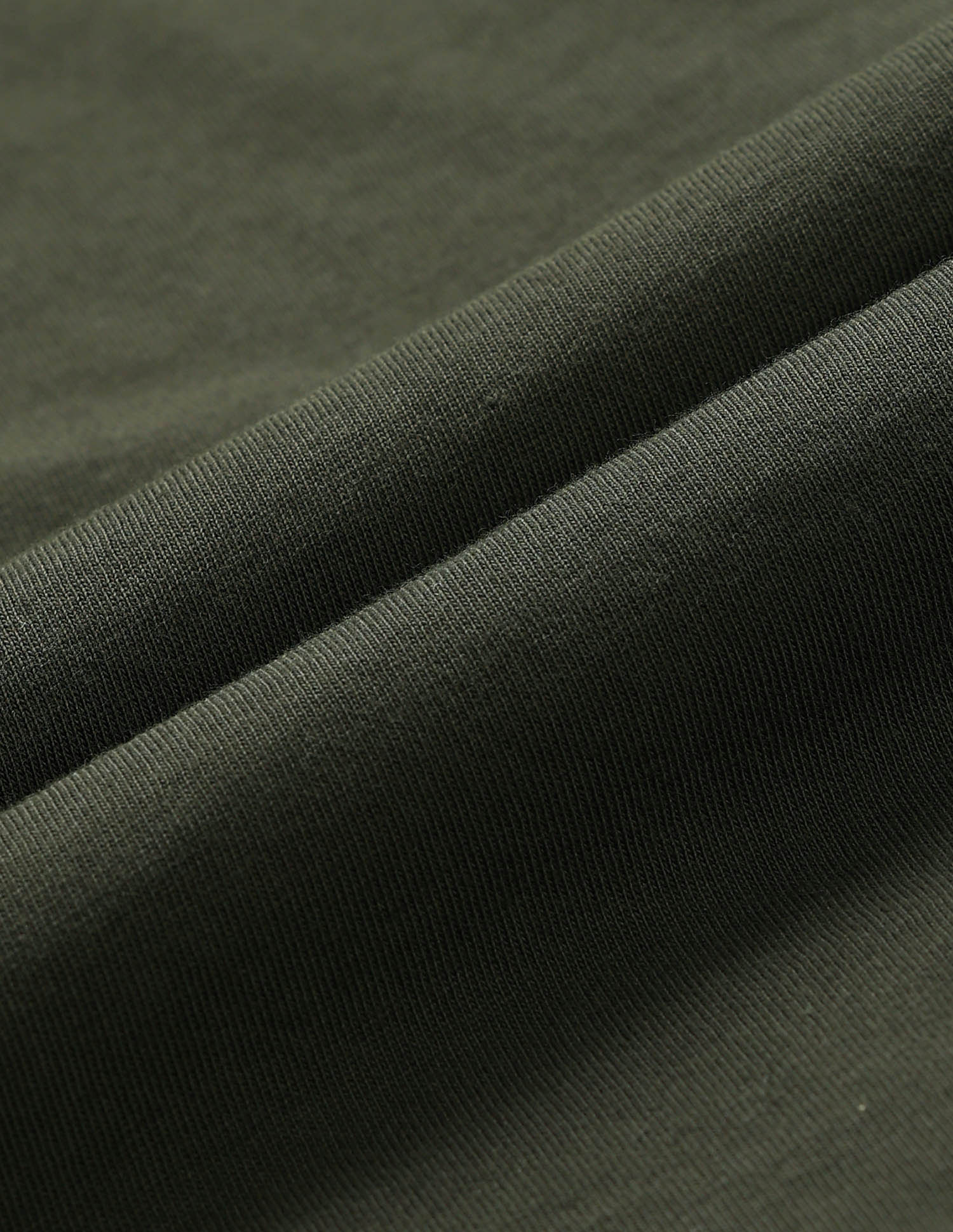 Brand Printed Muscle Fit T-Shirt Light Green - U.S. POLO ASSN. | Large