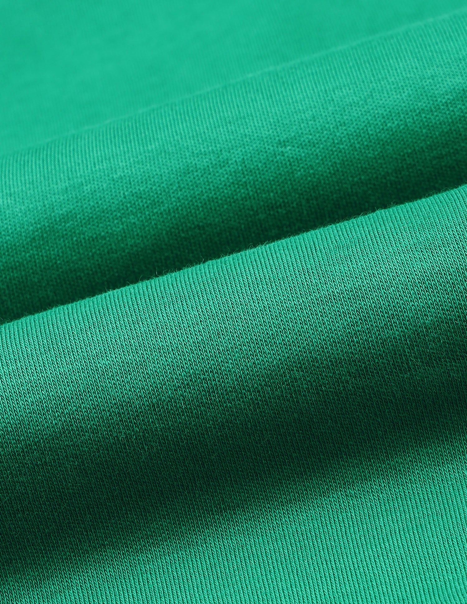 Solid Regular Fit Polo Shirt Green - U.S. Polo Assn. India | Large