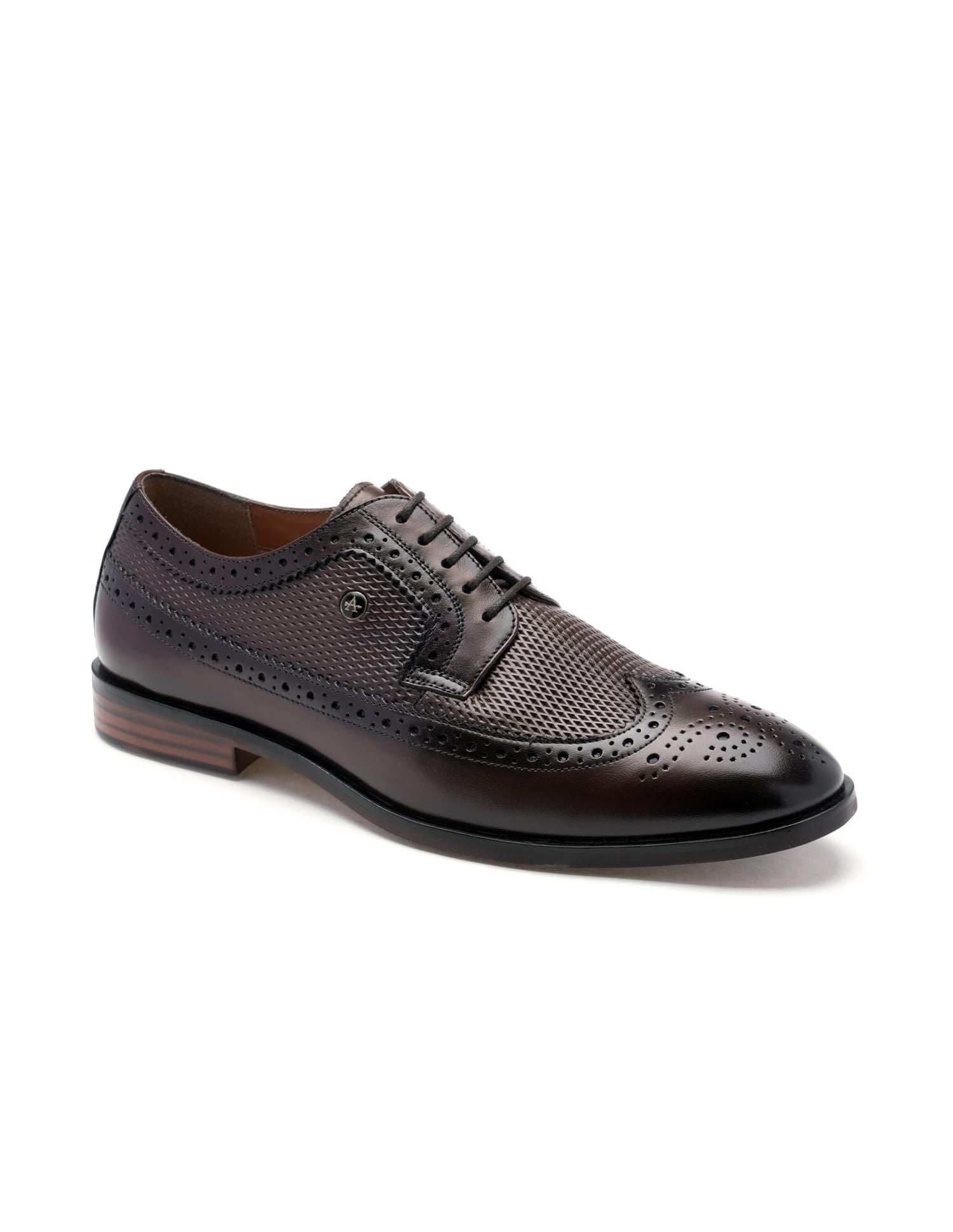 Denise 4.0 Leather Brogues Brown - U.S. Polo Assn. India | Large