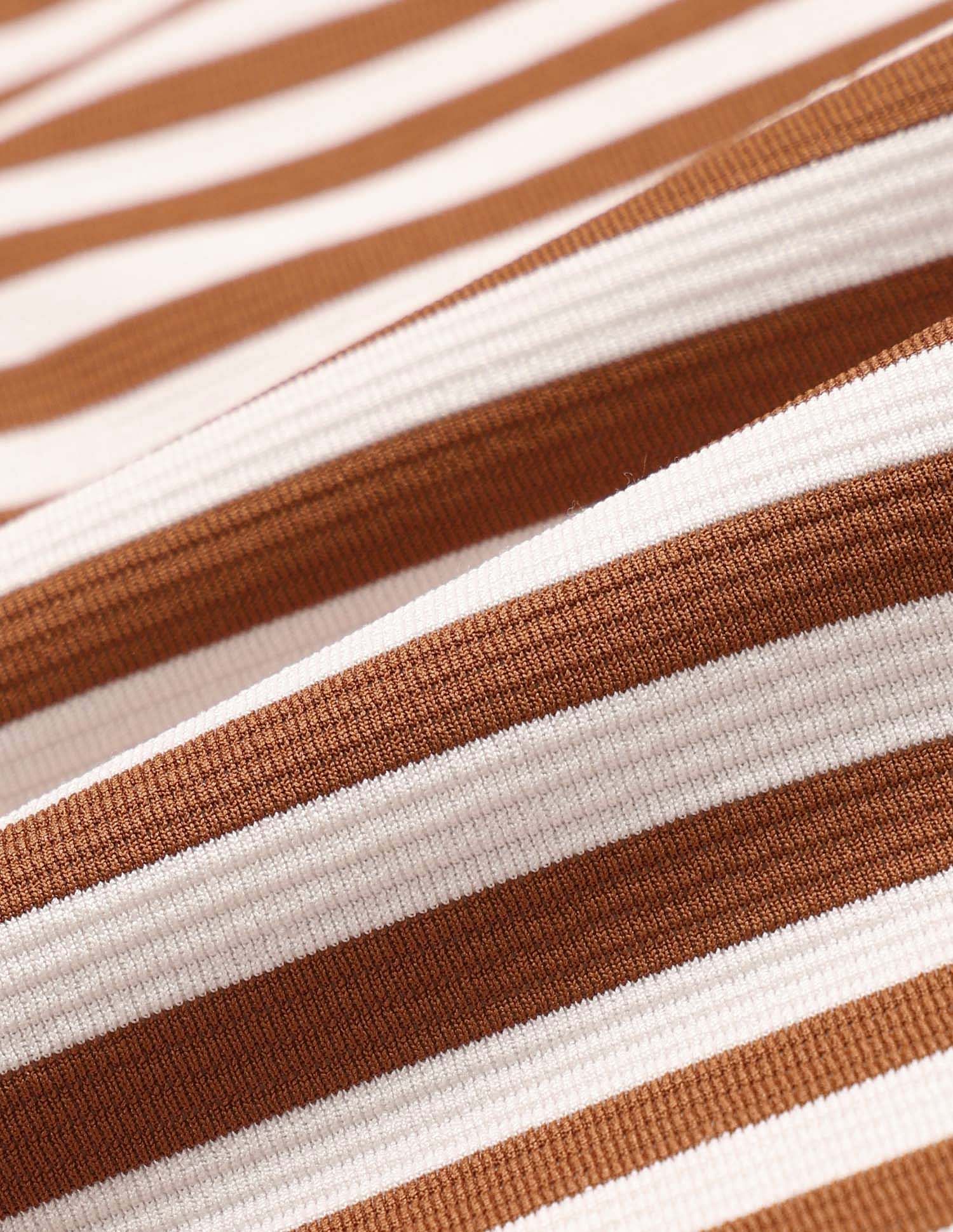 Regular Fit Vertical Striped Polo Shirt Brown - U.S. POLO ASSN. | Large