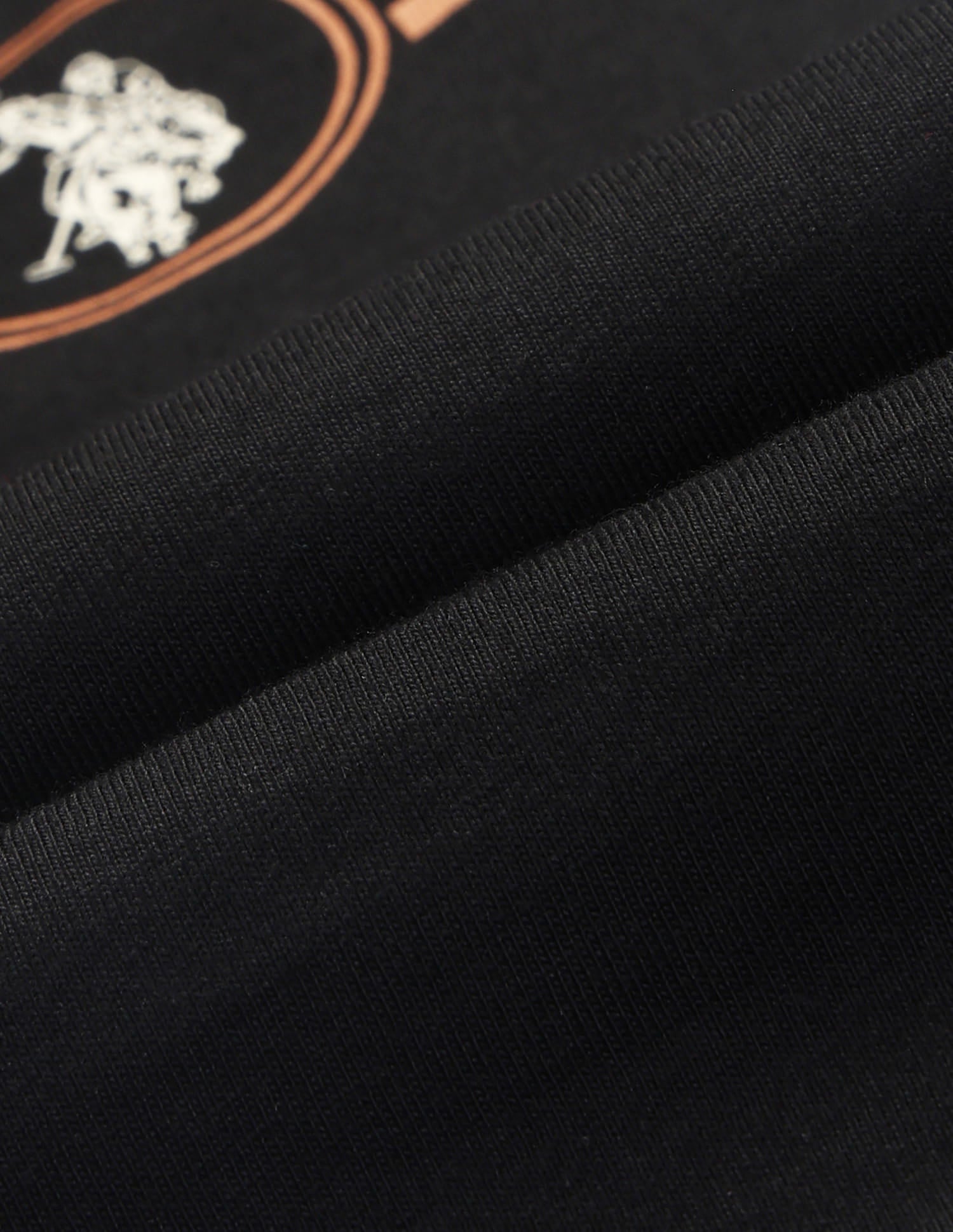 Regular Fit Brand Printed T-Shirt Black - U.S. Polo Assn. India | Large