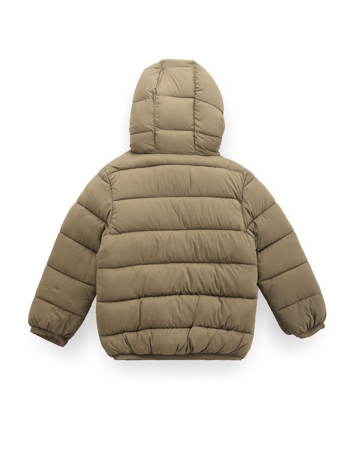 Boys Lightweight Puffer Jacket Olive - U.S. POLO ASSN. | Large