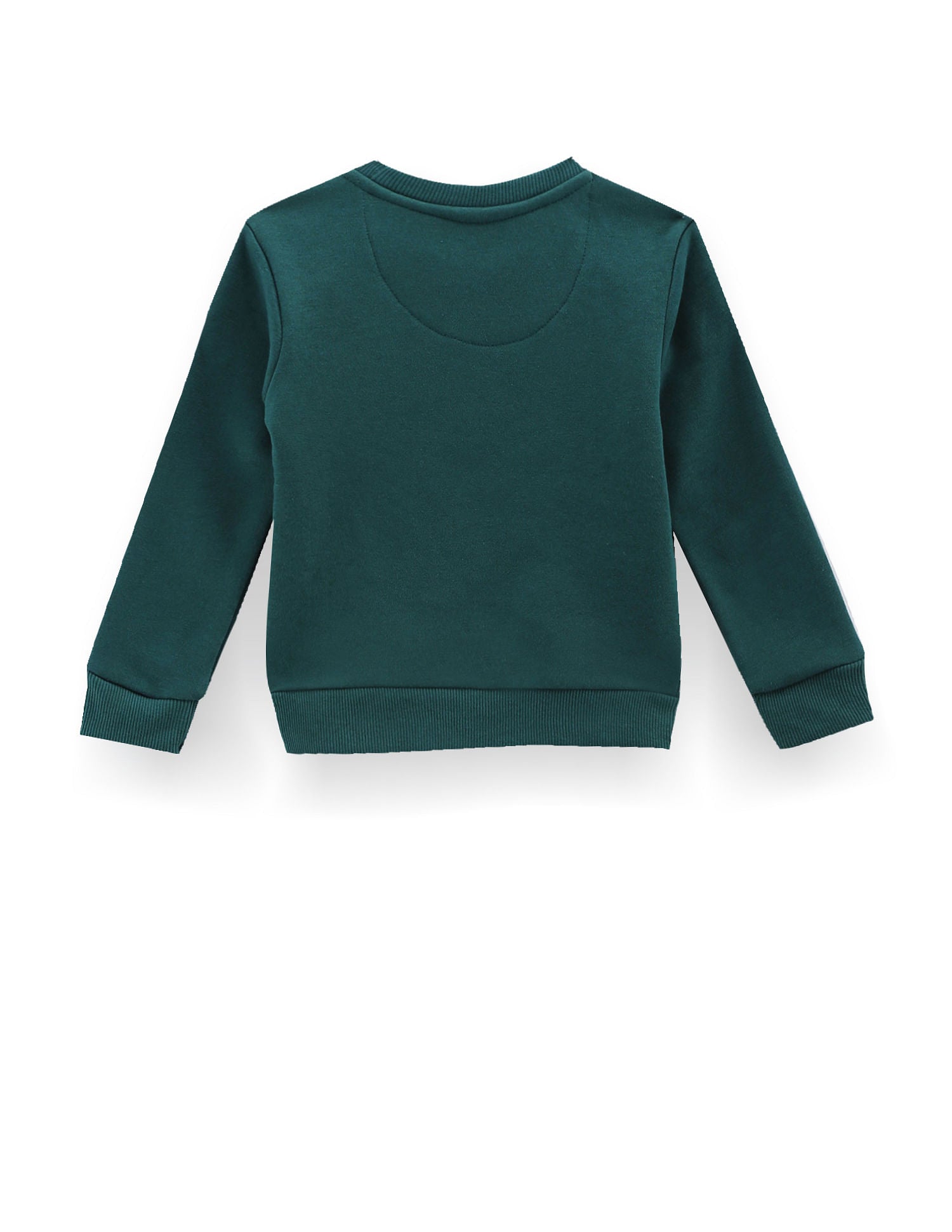 Crew Neck Brand Print Sweatshirt Dark Green - U.S. Polo Assn. India | Large