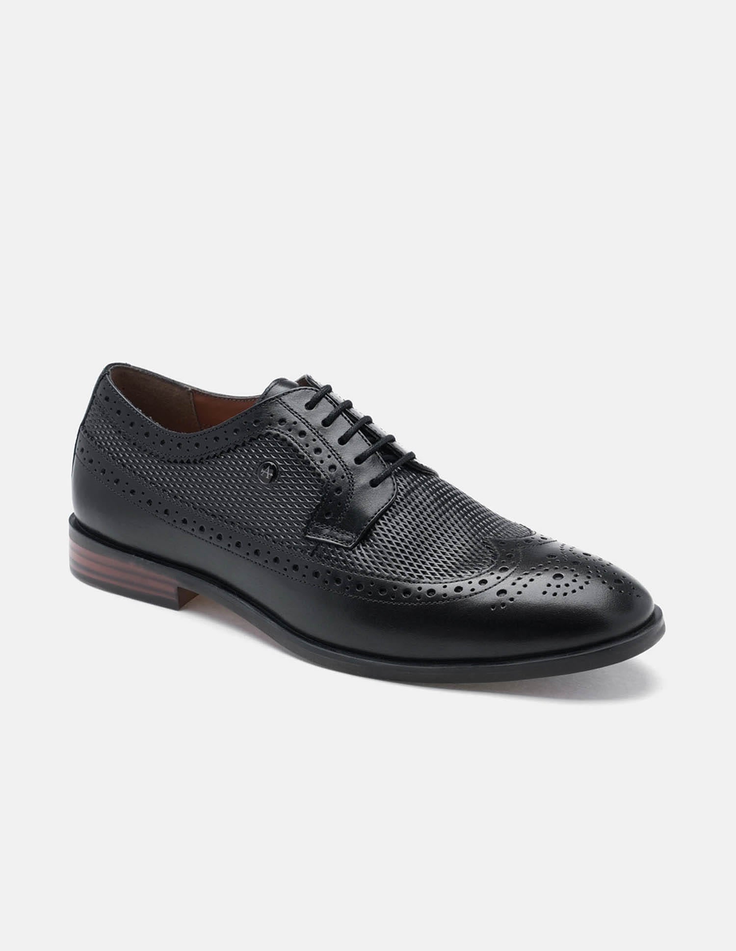 Denise 4.0 Leather Brogues Black - U.S. Polo Assn. India | Large