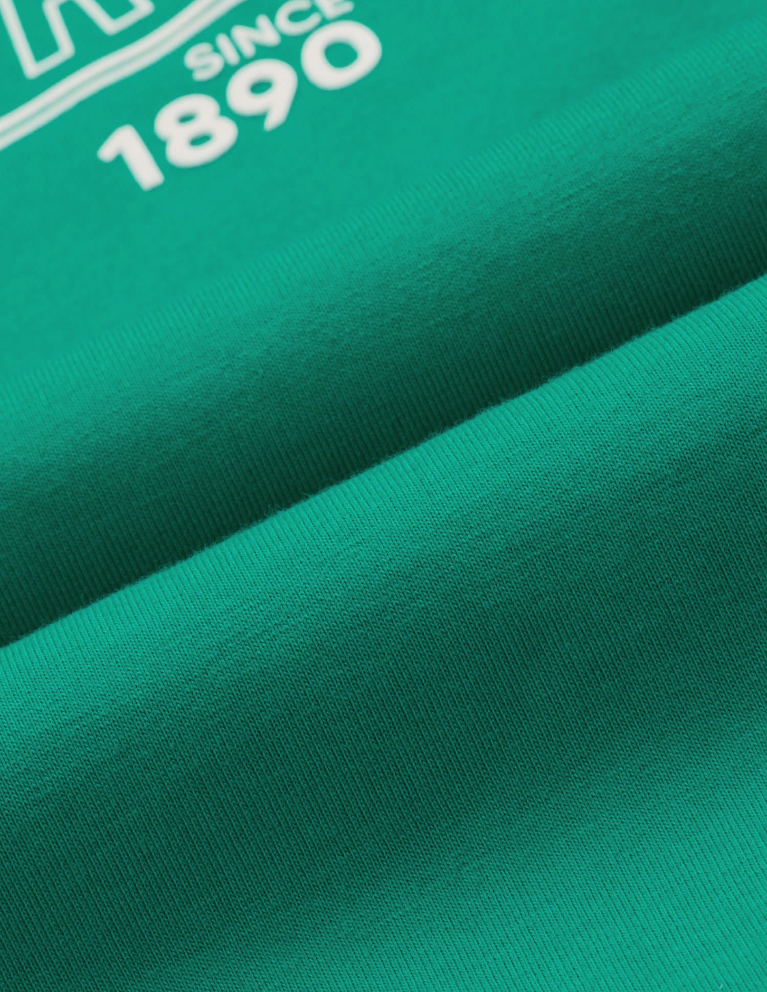 Shrunken Regular Fit T-Shirt Green - U.S. Polo Assn. India | Large