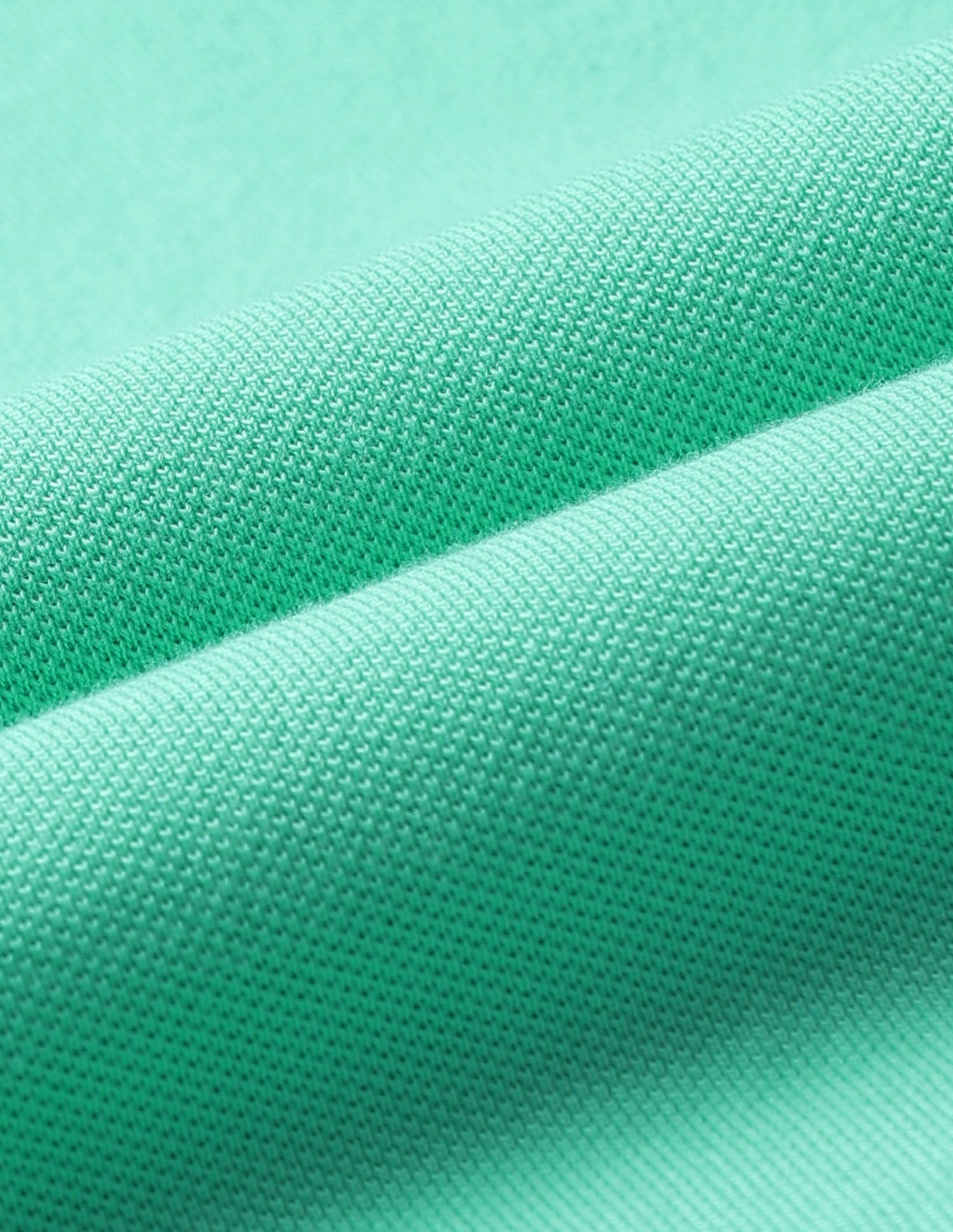 Solid Regular Fit Polo Shirt Light Green - U.S. POLO ASSN. | Large