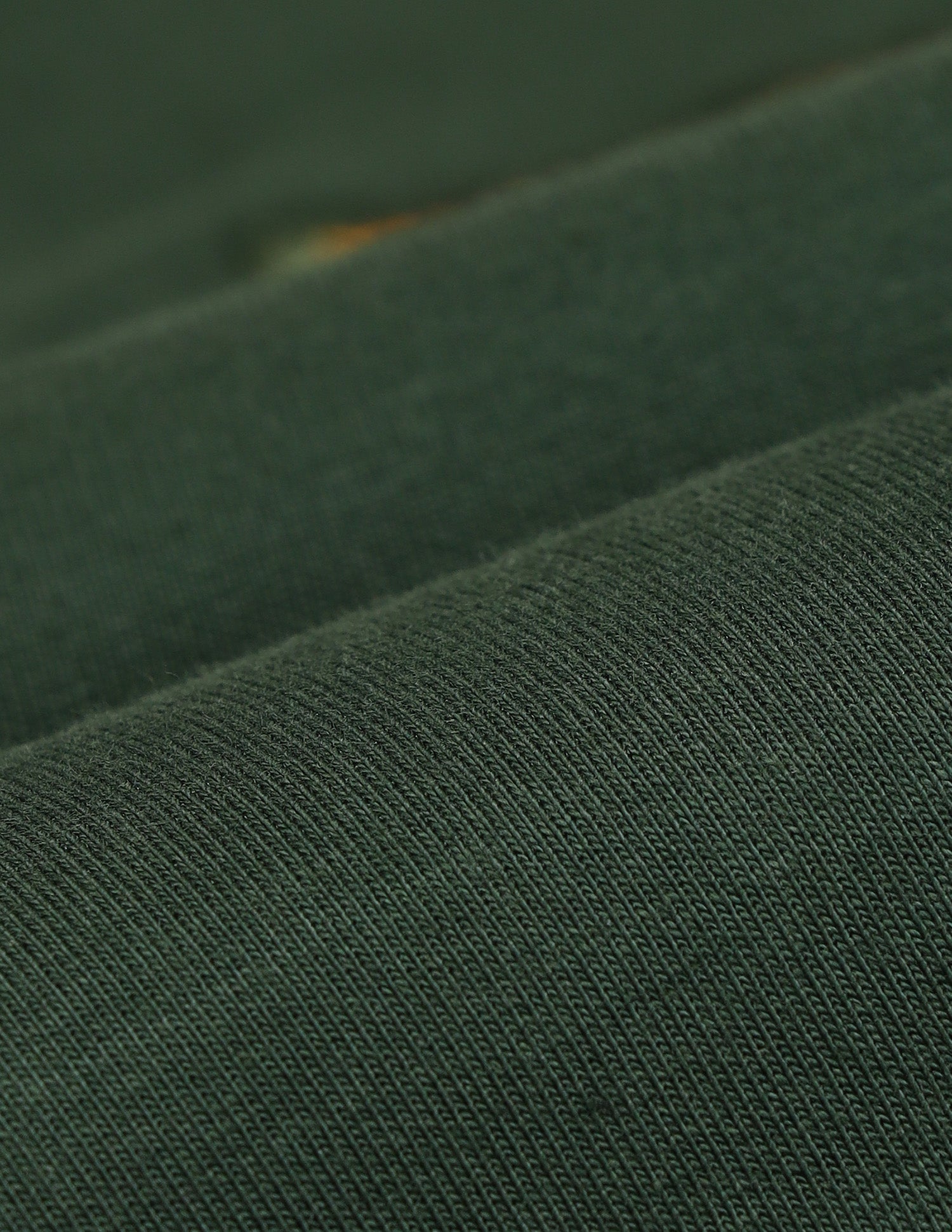 Colour Blocked Regular Fit Sweatshirt Olive - U.S. POLO ASSN. | Large