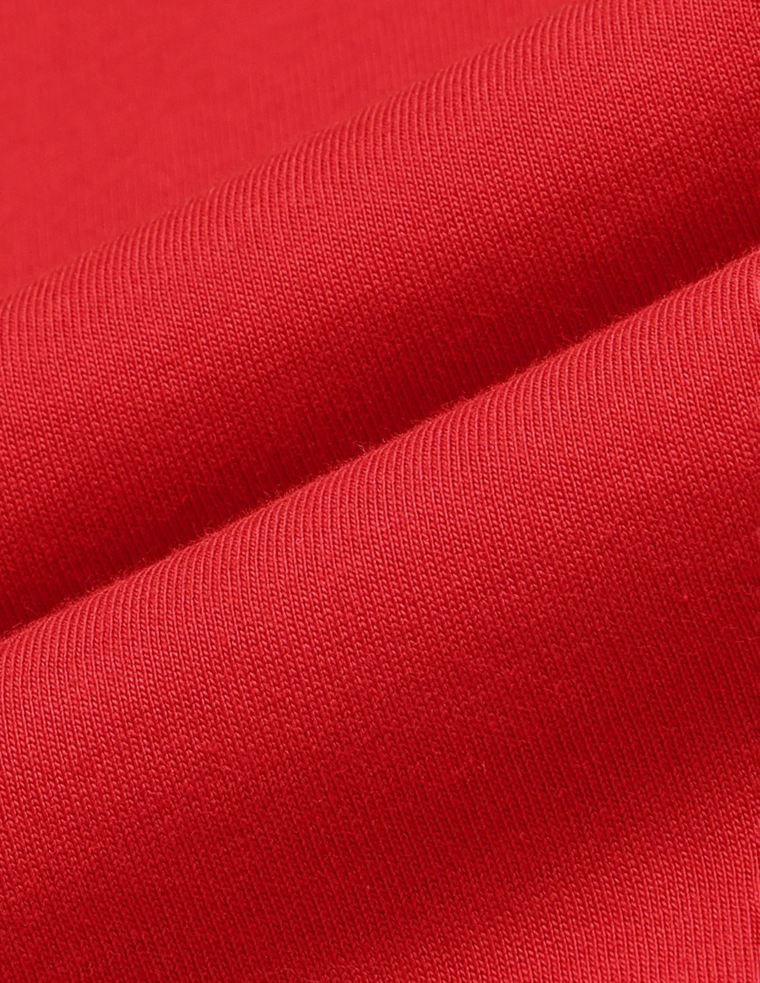 Regular Fit Brand Printed T-Shirt Red - U.S. Polo Assn. India | Large