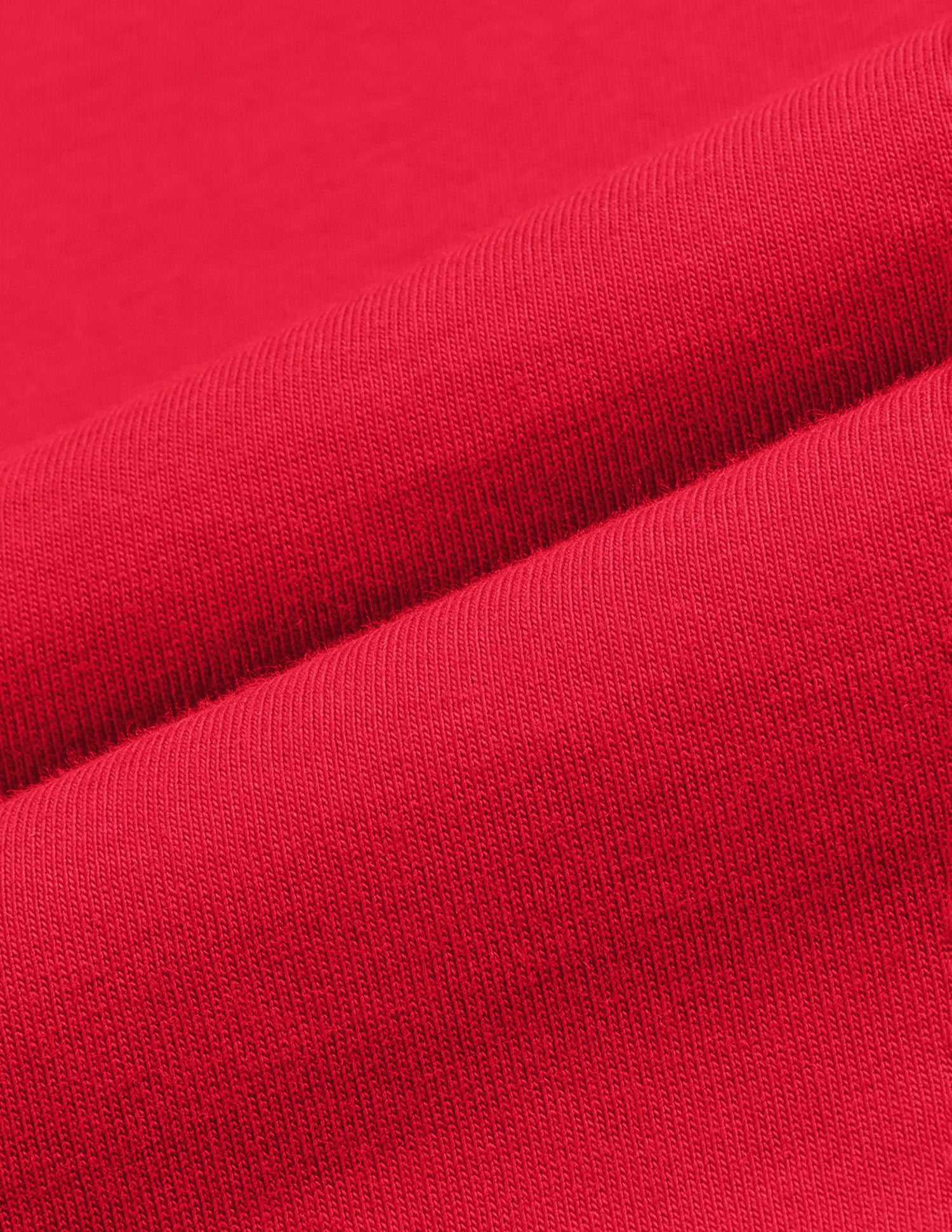 Brand Embroidered Regular Fit T-Shirt Red - U.S. Polo Assn. India | Large