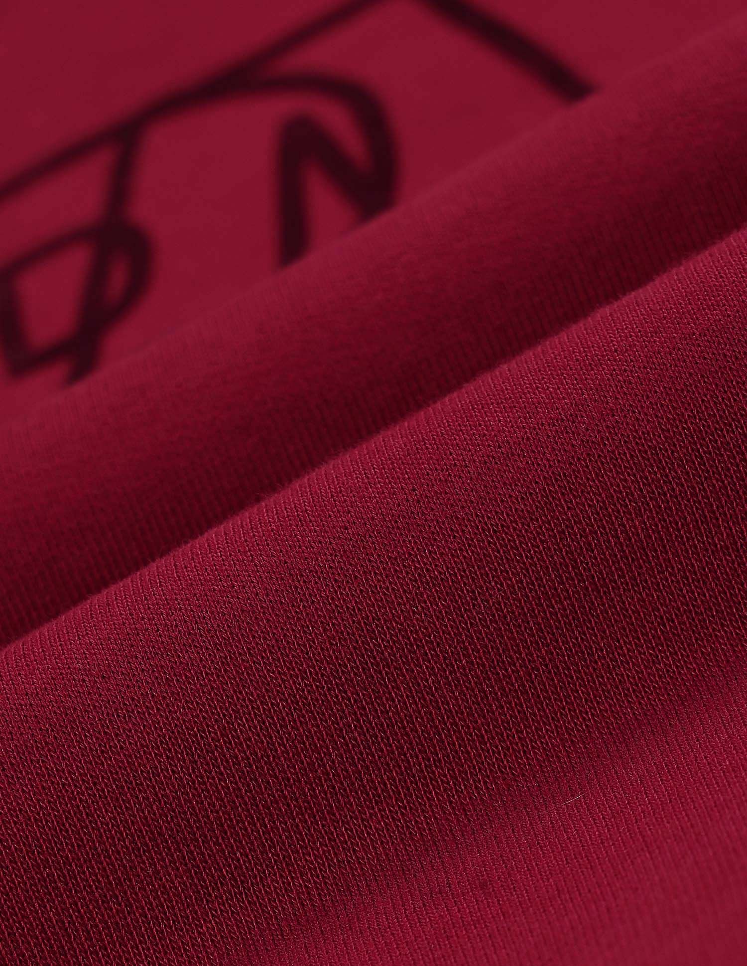 Relaxed Fit Brand Printed Sweatshirt Dark Red - U.S. POLO ASSN. | Large