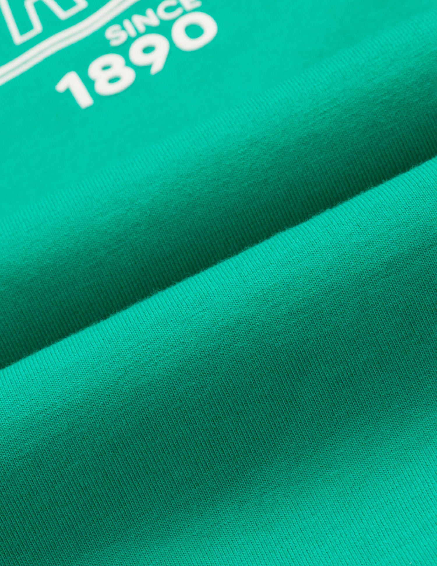 Relaxed Fit T-Shirt With Wide Leg Pants Green - U.S. Polo Assn. India | Large