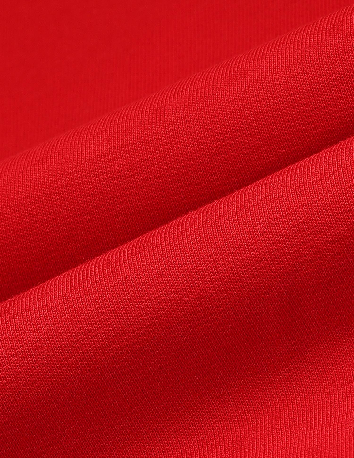 Brand Printed Regular Fit Top Red - U.S. Polo Assn. India | Large