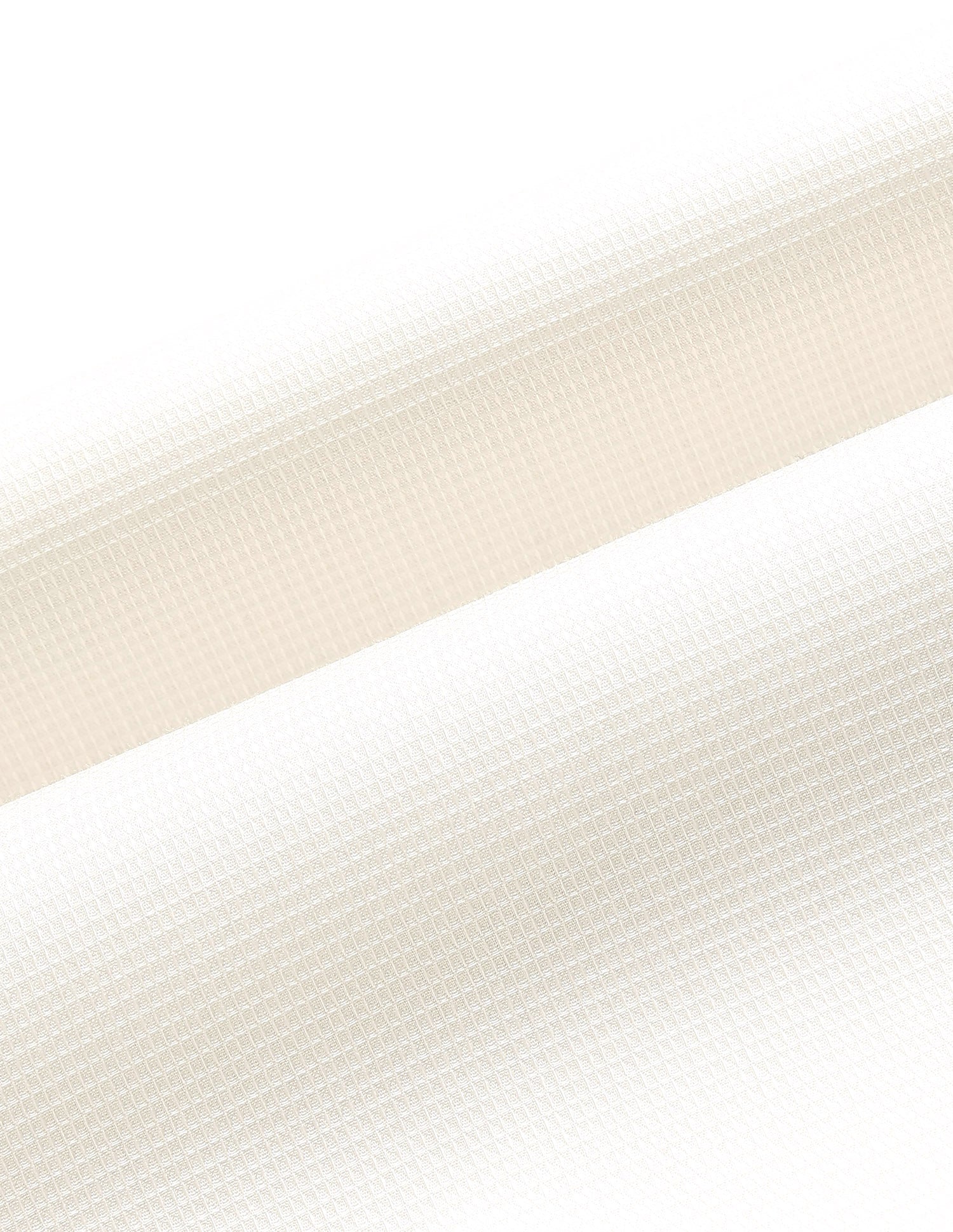 Solid Regular Fit Shirt Ivory - U.S. Polo Assn. India | Large