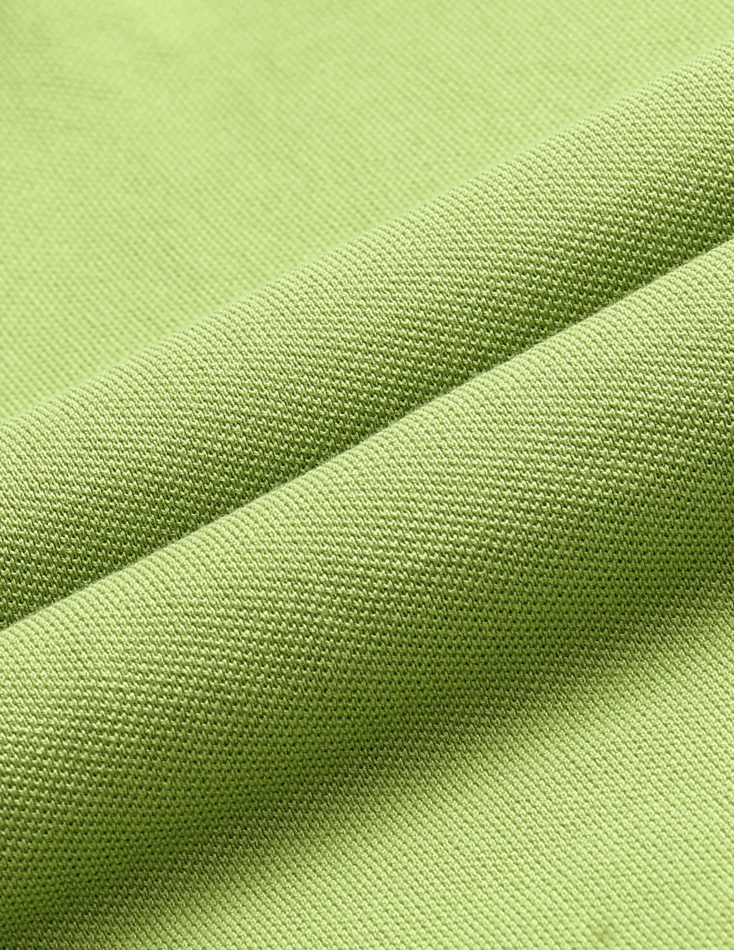 Solid Slim Fit Polo Shirt Green - U.S. Polo Assn. India | Large