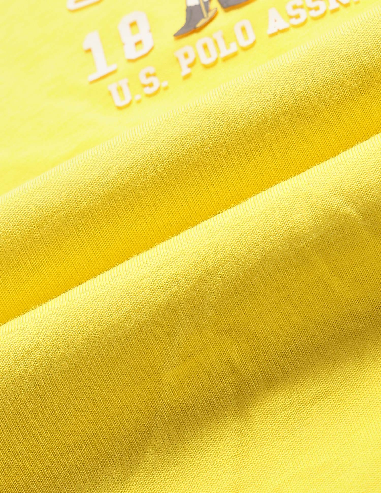Colour Blocked Regular Fit T-Shirt Yellow - U.S. Polo Assn. India | Large