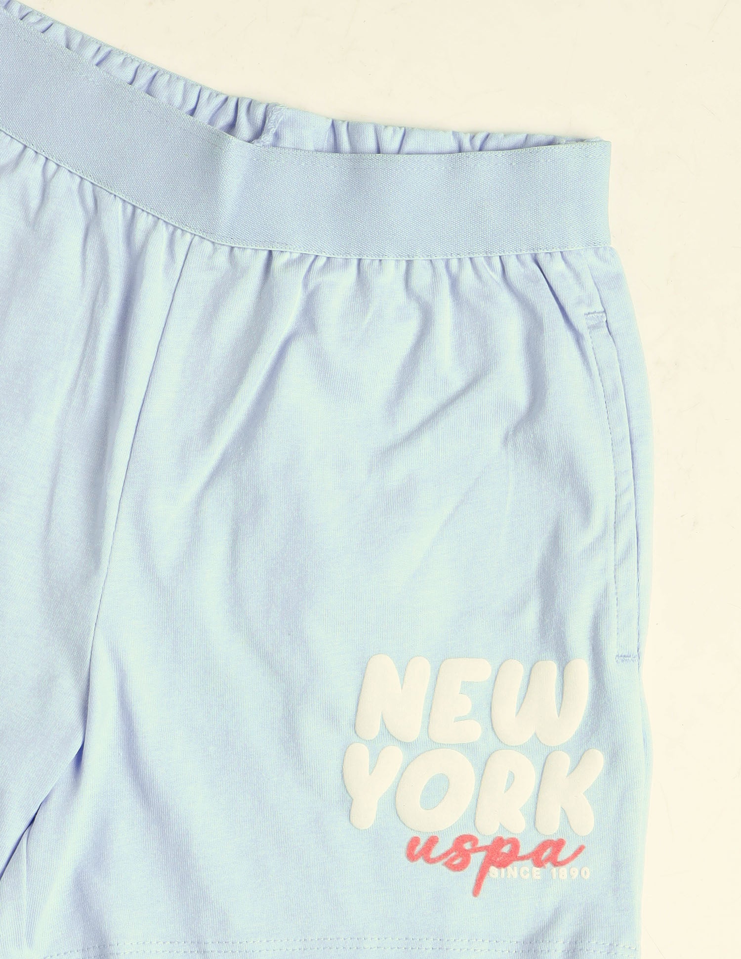 Typographic Comfort Fit Shorts Blue - U.S. Polo Assn. India | Large