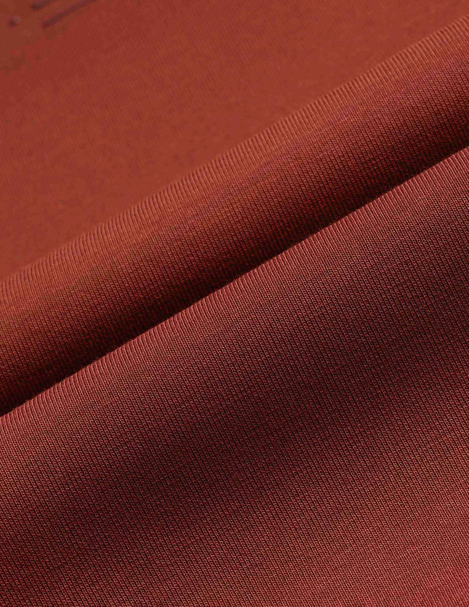 Regular Fit Varsity Theatre Sweatshirt Rust - U.S. POLO ASSN. | Large