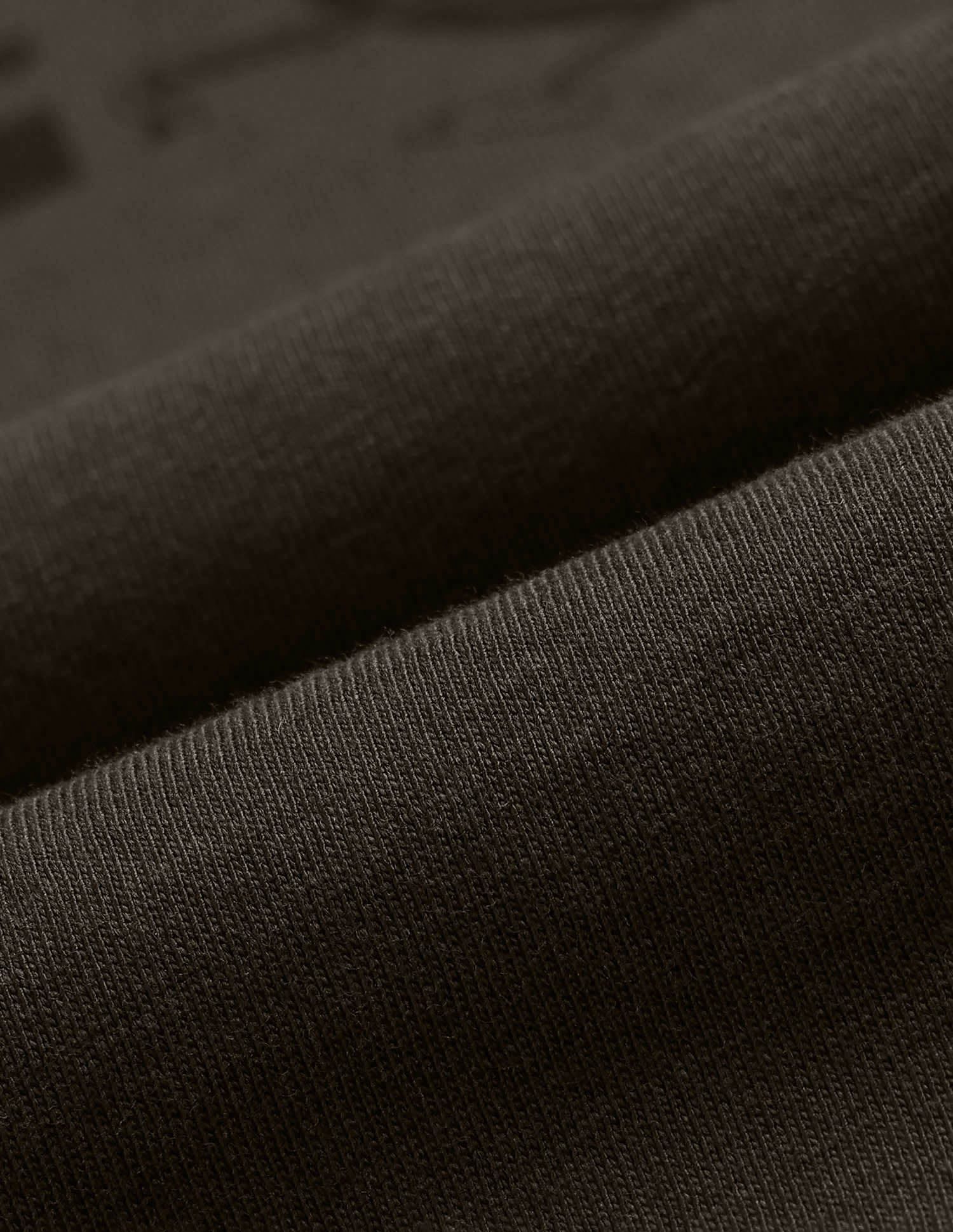 Bold Logo T-Shirt Olive - U.S. POLO ASSN. | Large